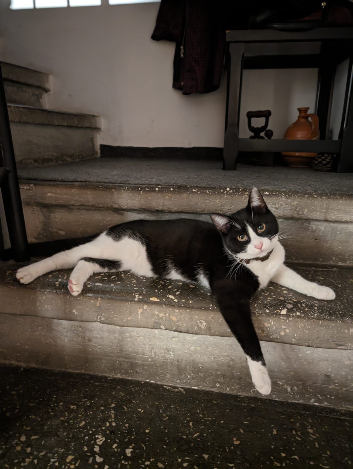 Feliz - Strada Gala Galaction, București