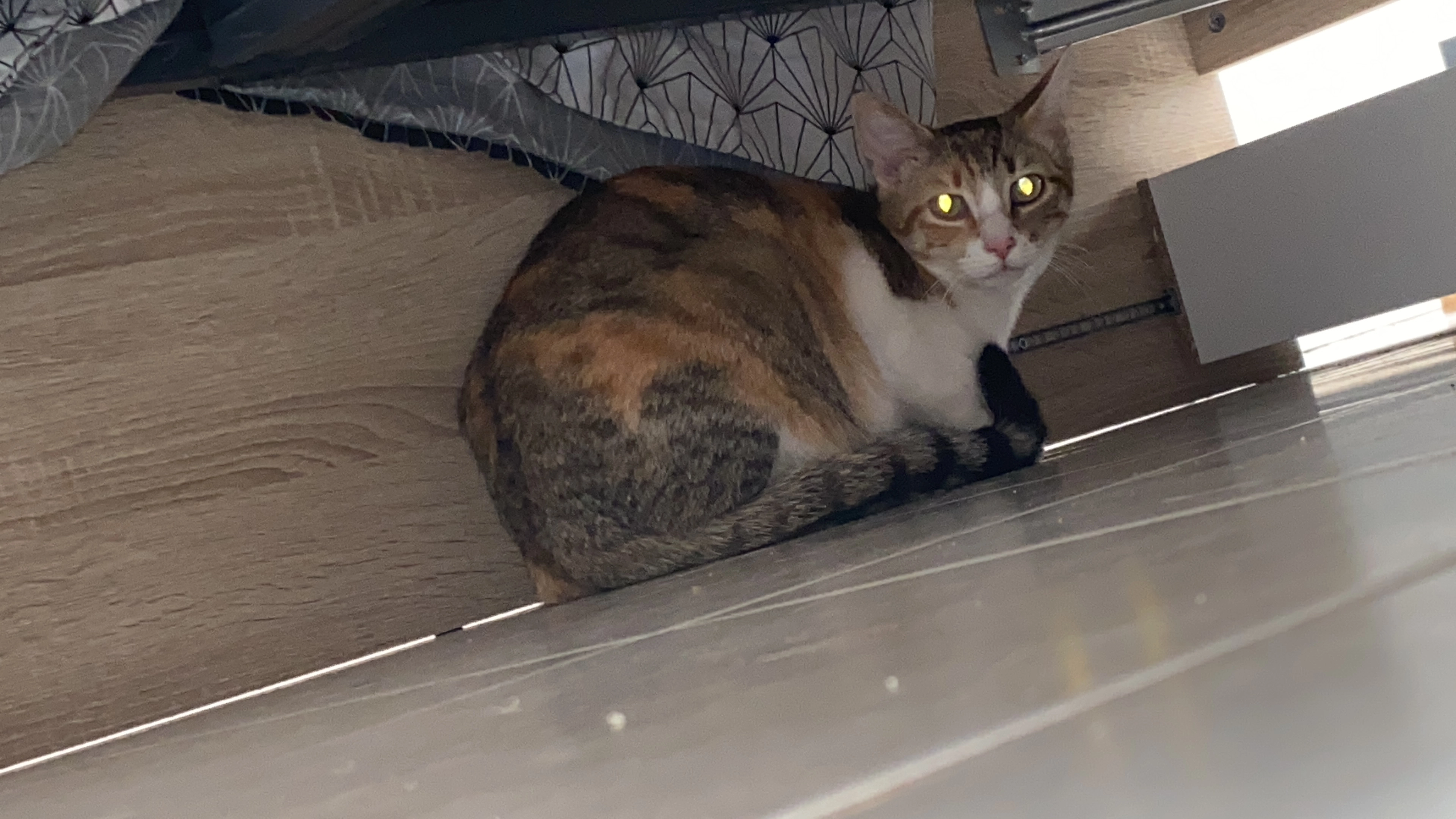 Cahuete - 26 Rue Duguay-Trouin, Le Havre