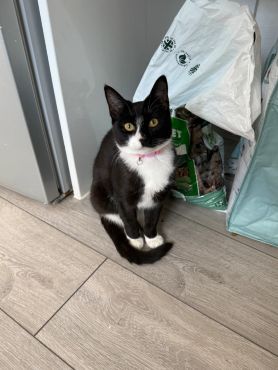 Aloe - Park Road, Bromley