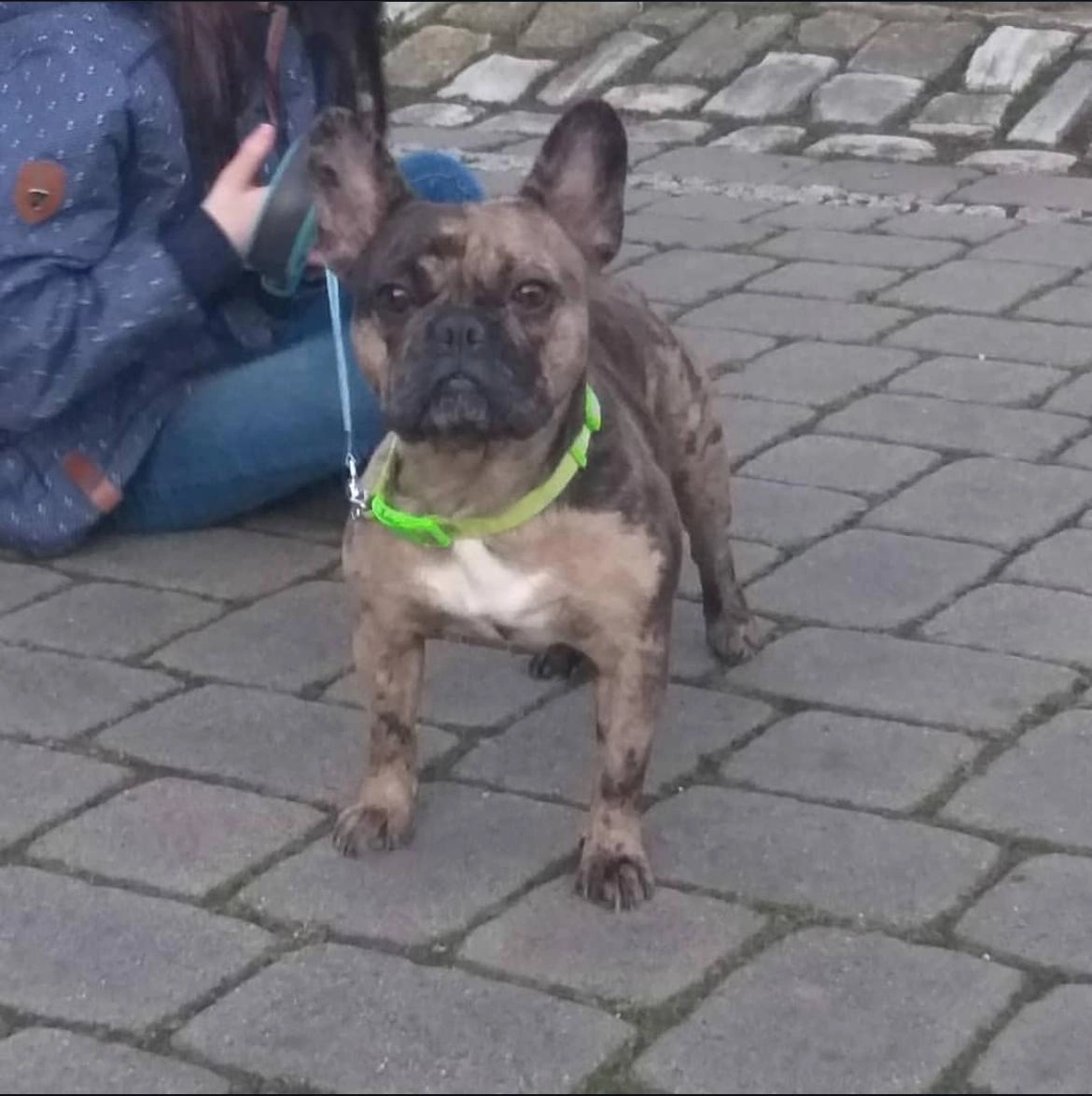 Greta - Oberdorf, Kalbsrieth