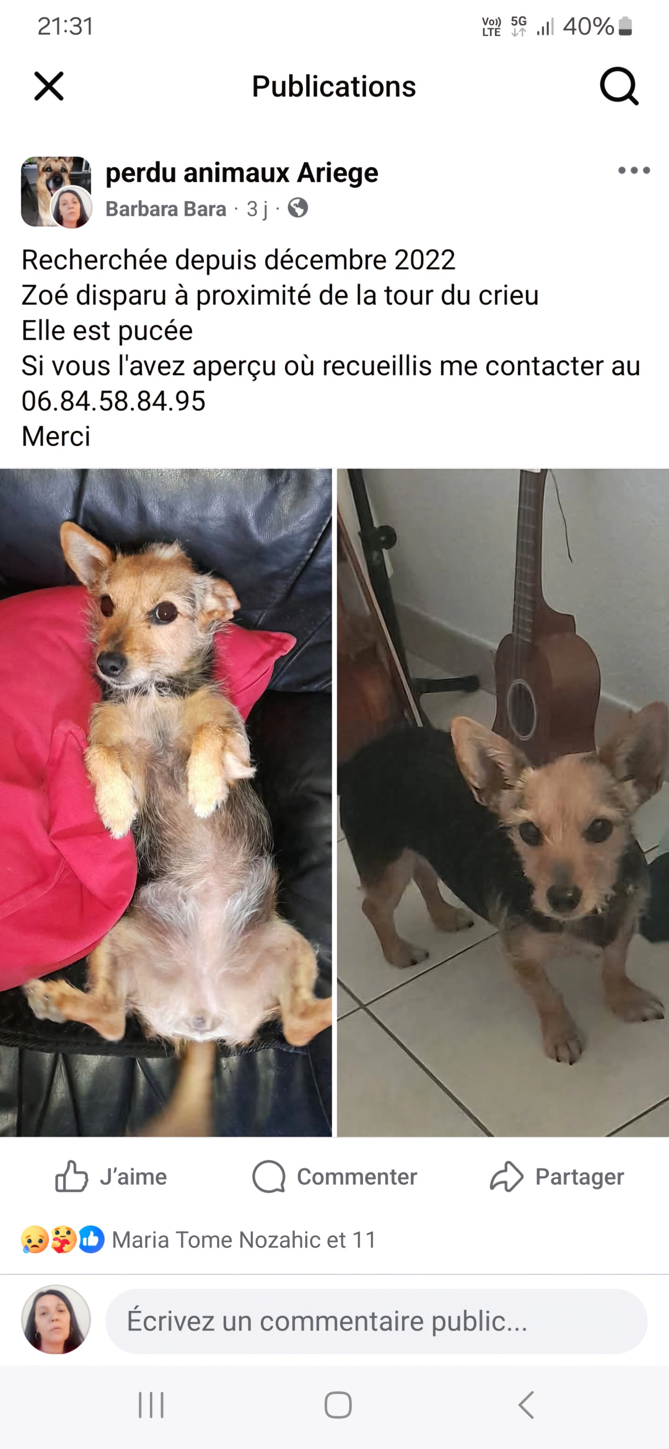 Zoé  - Chemin de Rigail, Pamiers