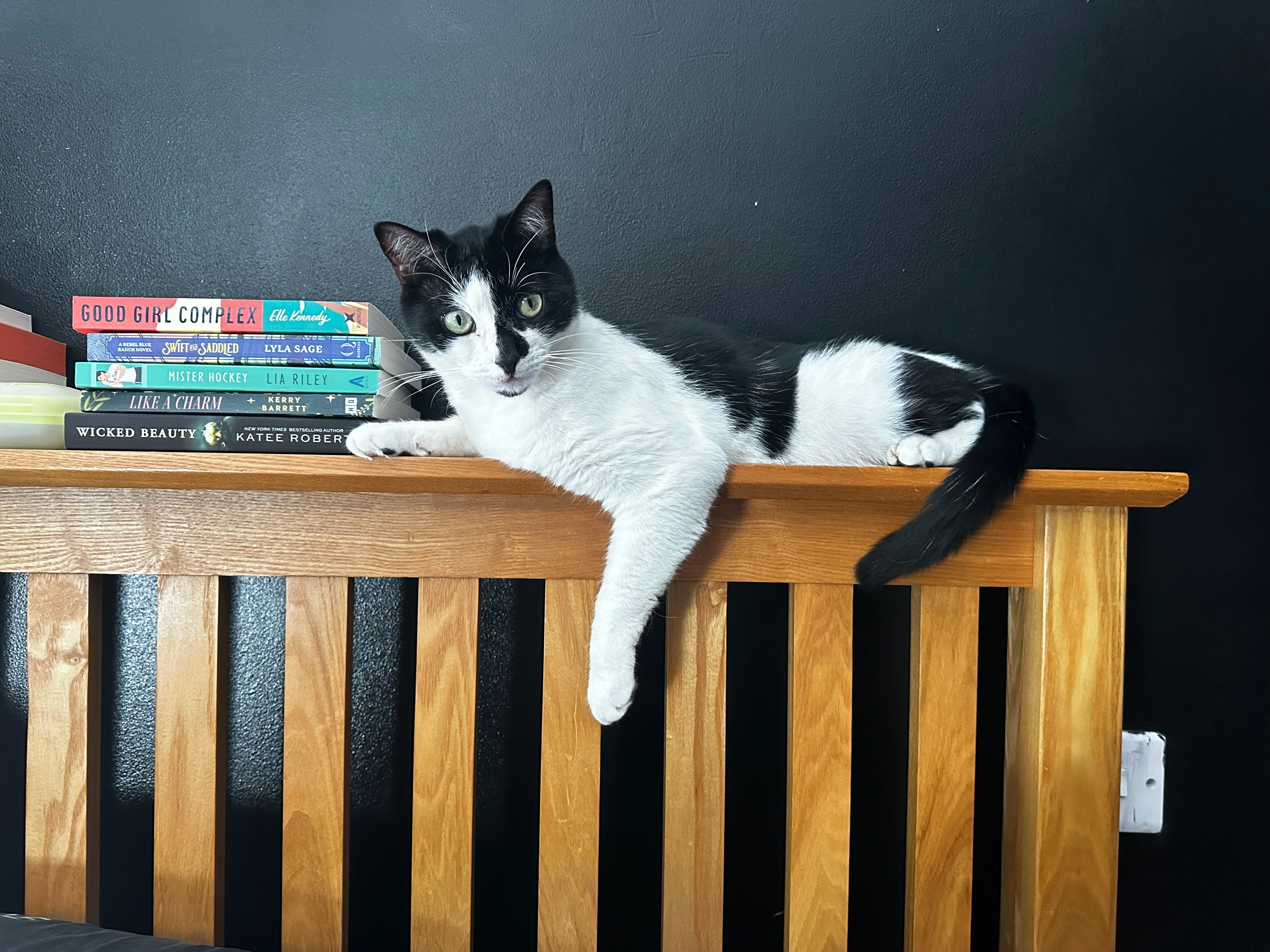 Otis  - Graig Terrace, Swansea