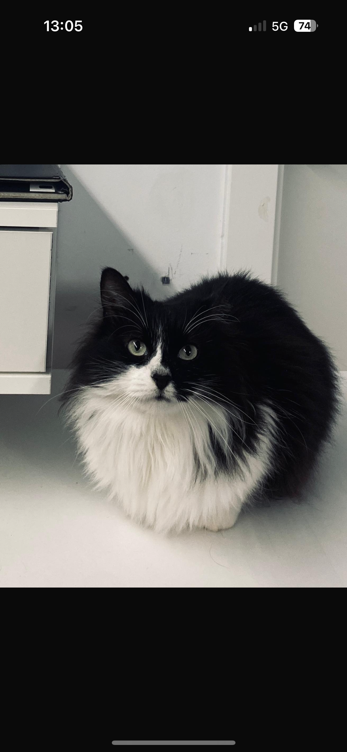 Luna - Calle Puerta Bonita, Torrevieja