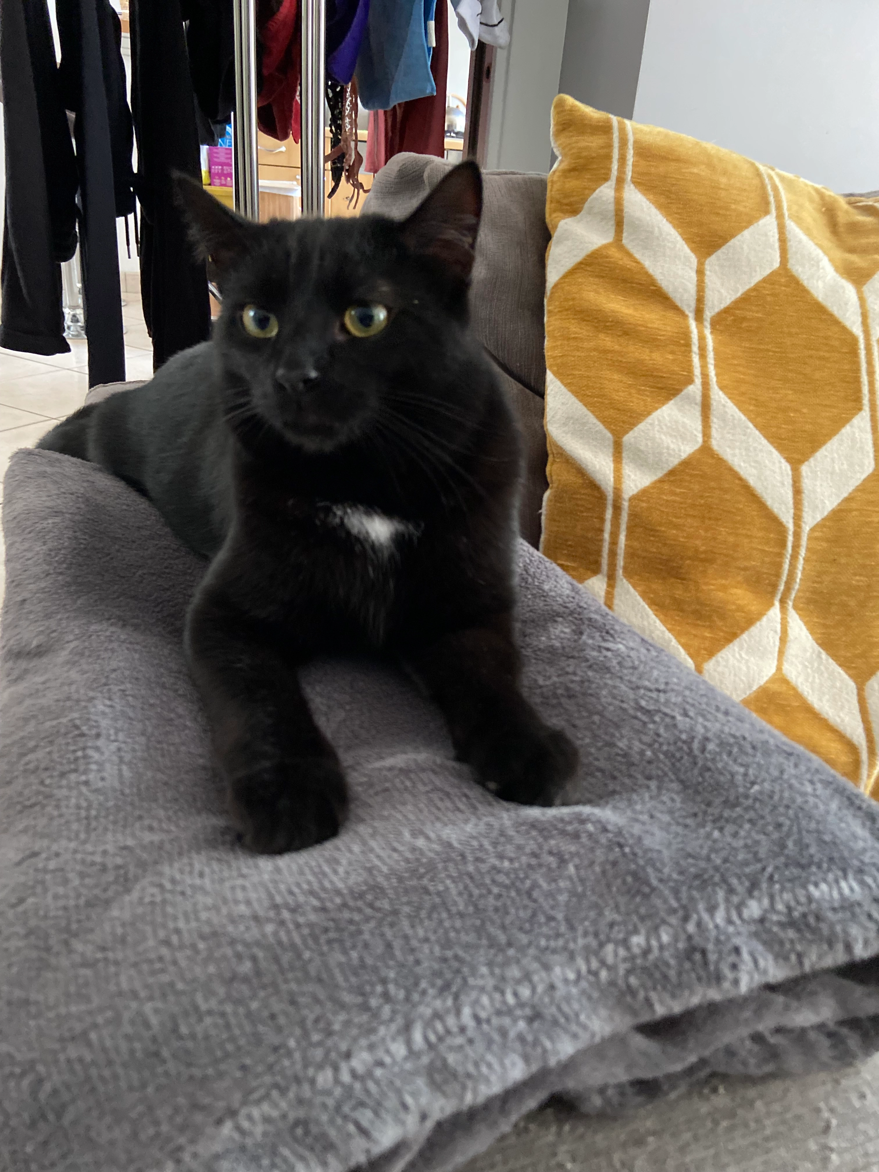 Toto - Rue Saint-Jacques, Rozay-en-Brie