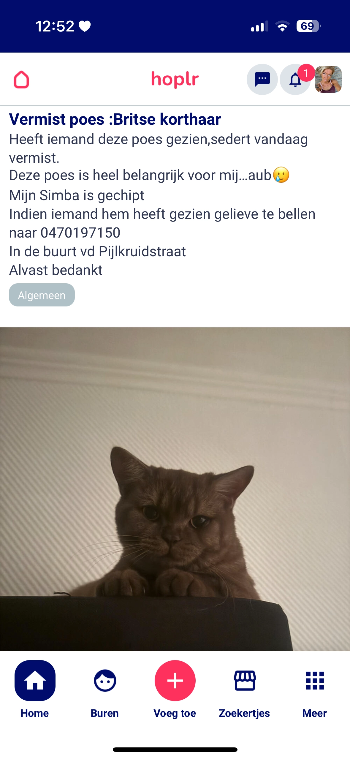 Simba - Pijlkruidstraat 68, Gent