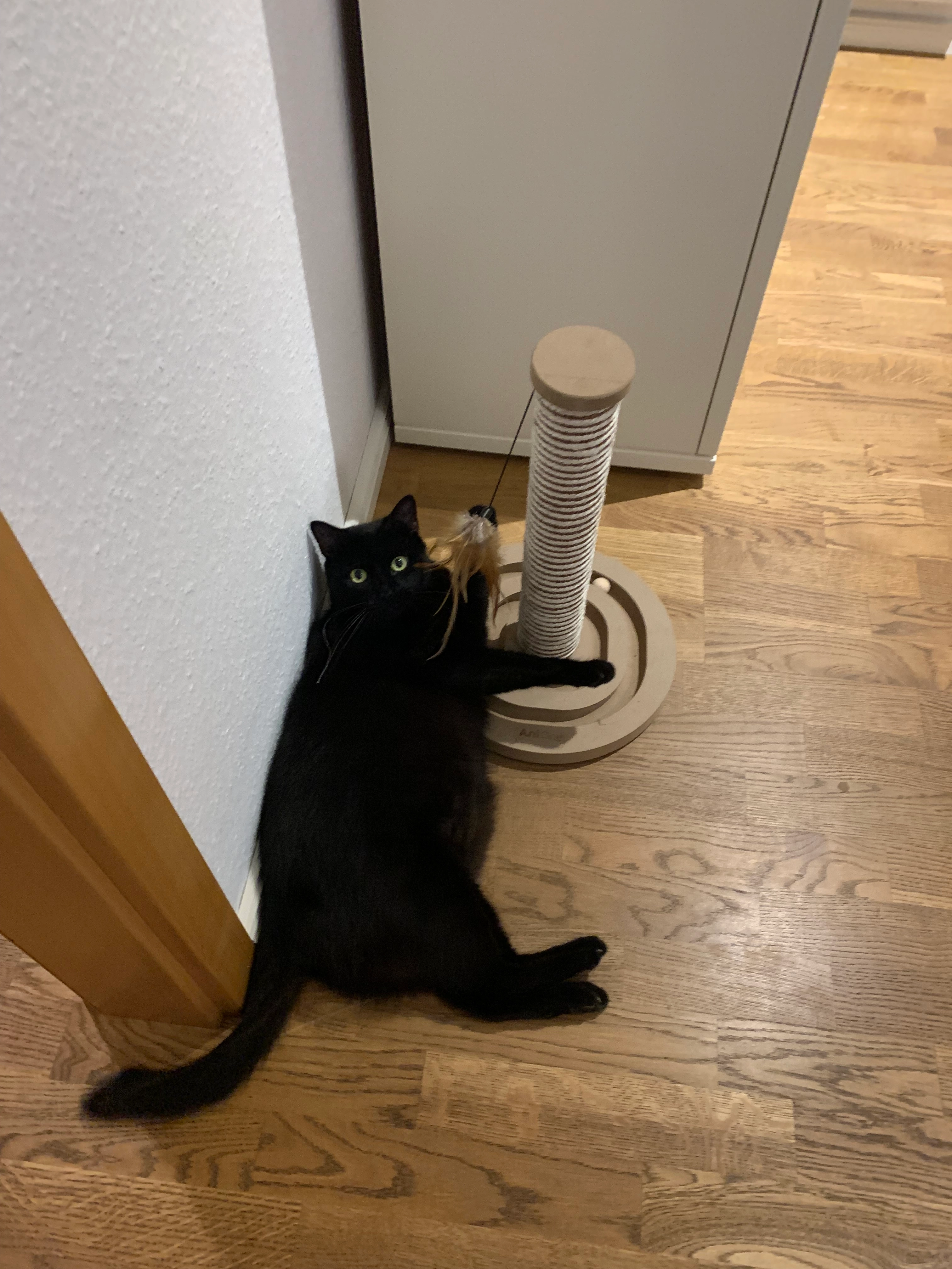 Luigi - Heidehofstraße, Stuttgart