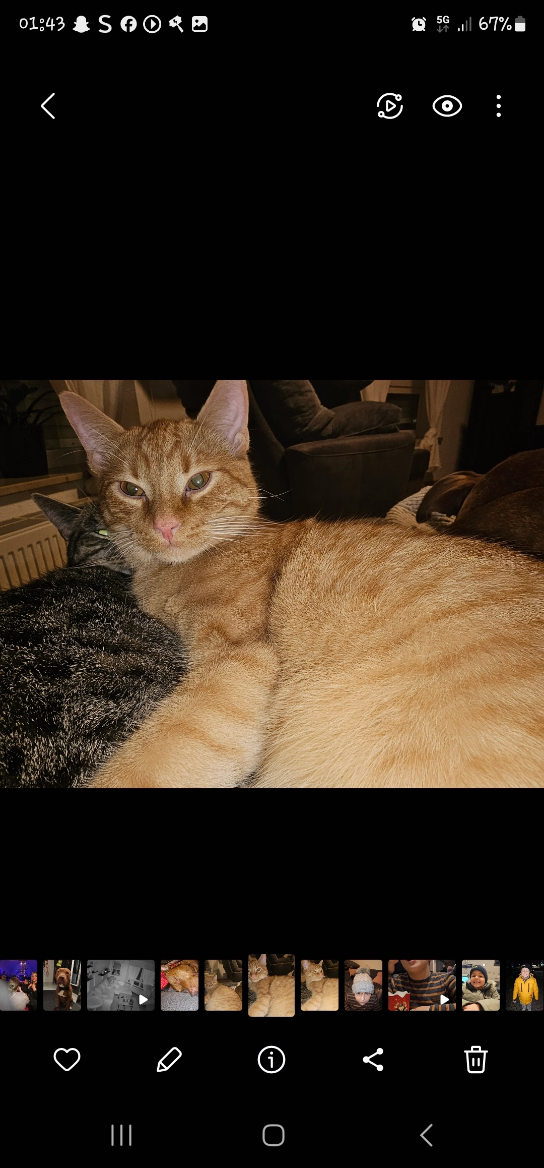 Cosmo - Brunnerstraße, Eilenburg