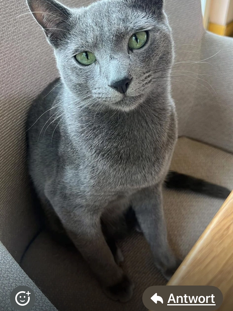 Elmo - Kobaltstraße, Rüsselsheim am Main