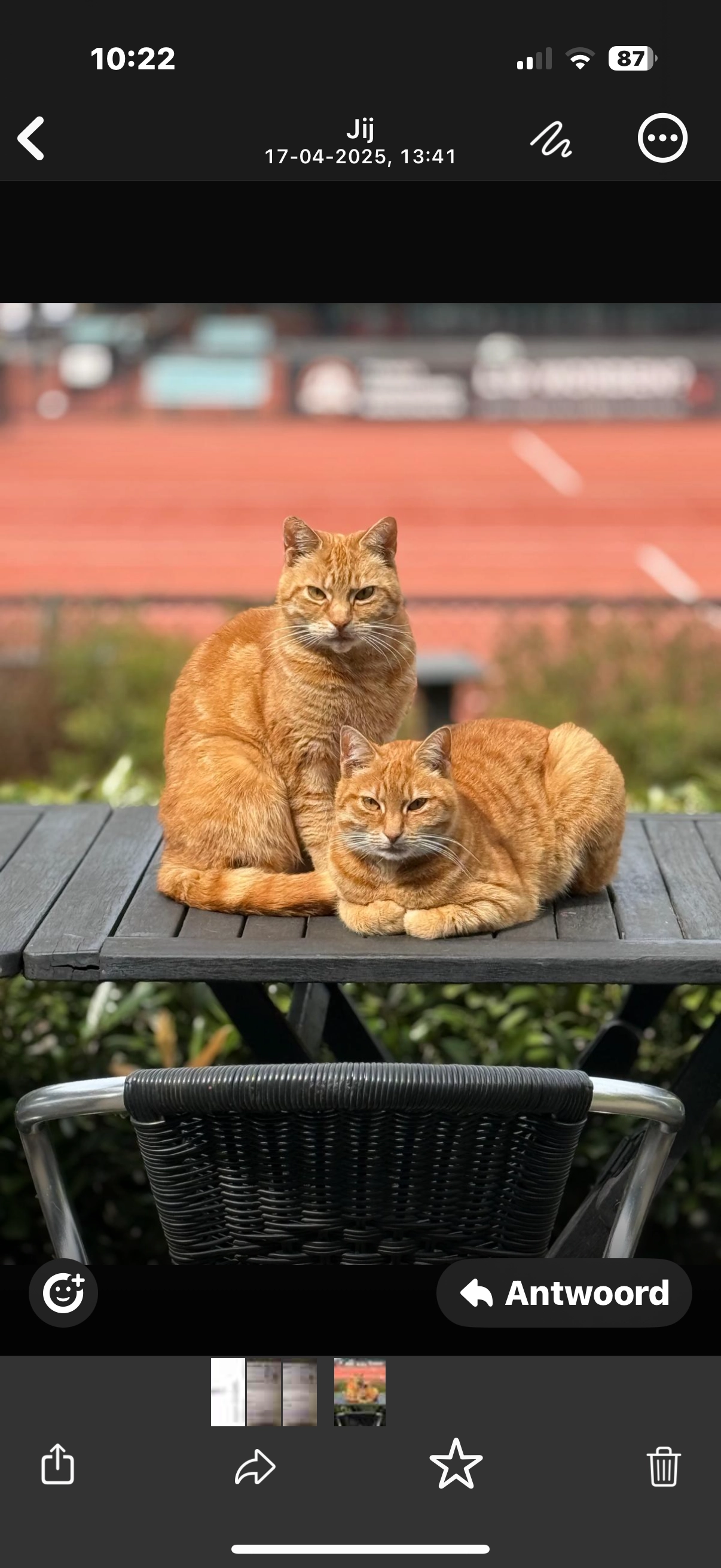 Lulu - 1e Kruisweg, Zuid-Holland