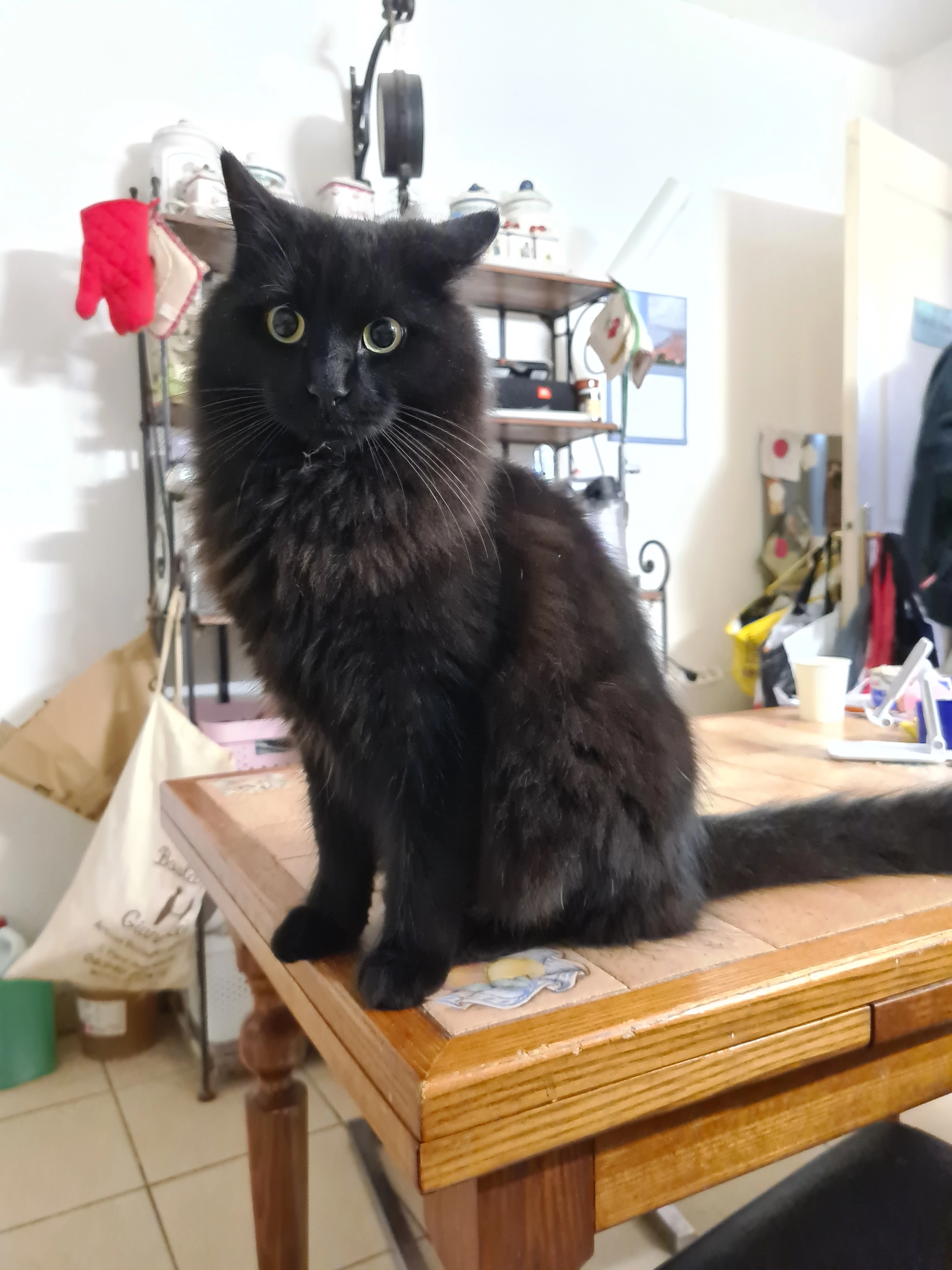 Roméo - Rue Christian Mangiapan, Contes