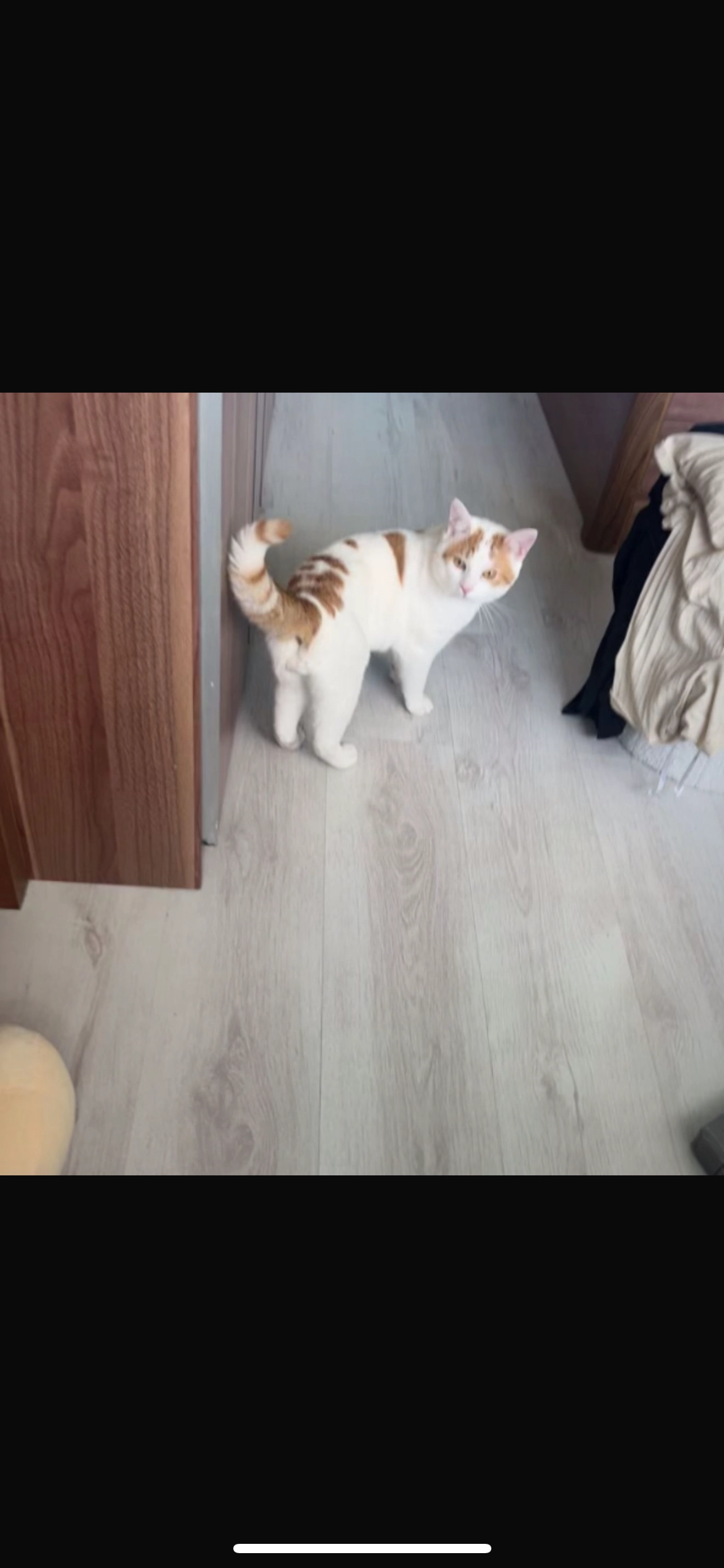 Pablo - Liendenlaan, Tiel