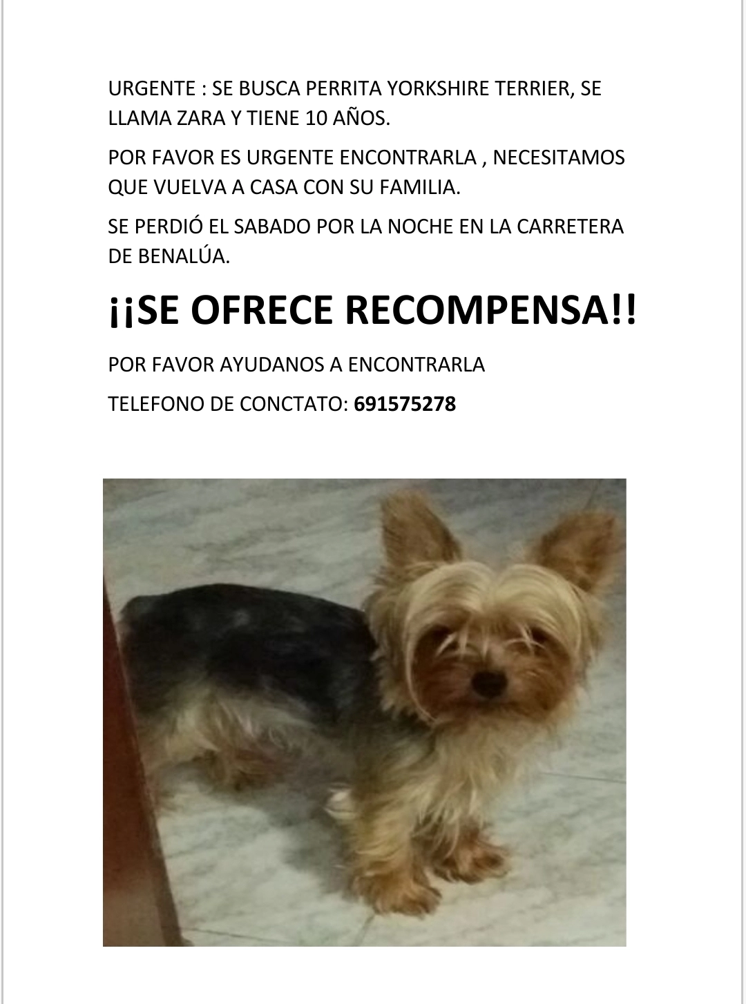 Zara  - Carretera De Moreda A Guadix Por Pedro Martínez, Guadix