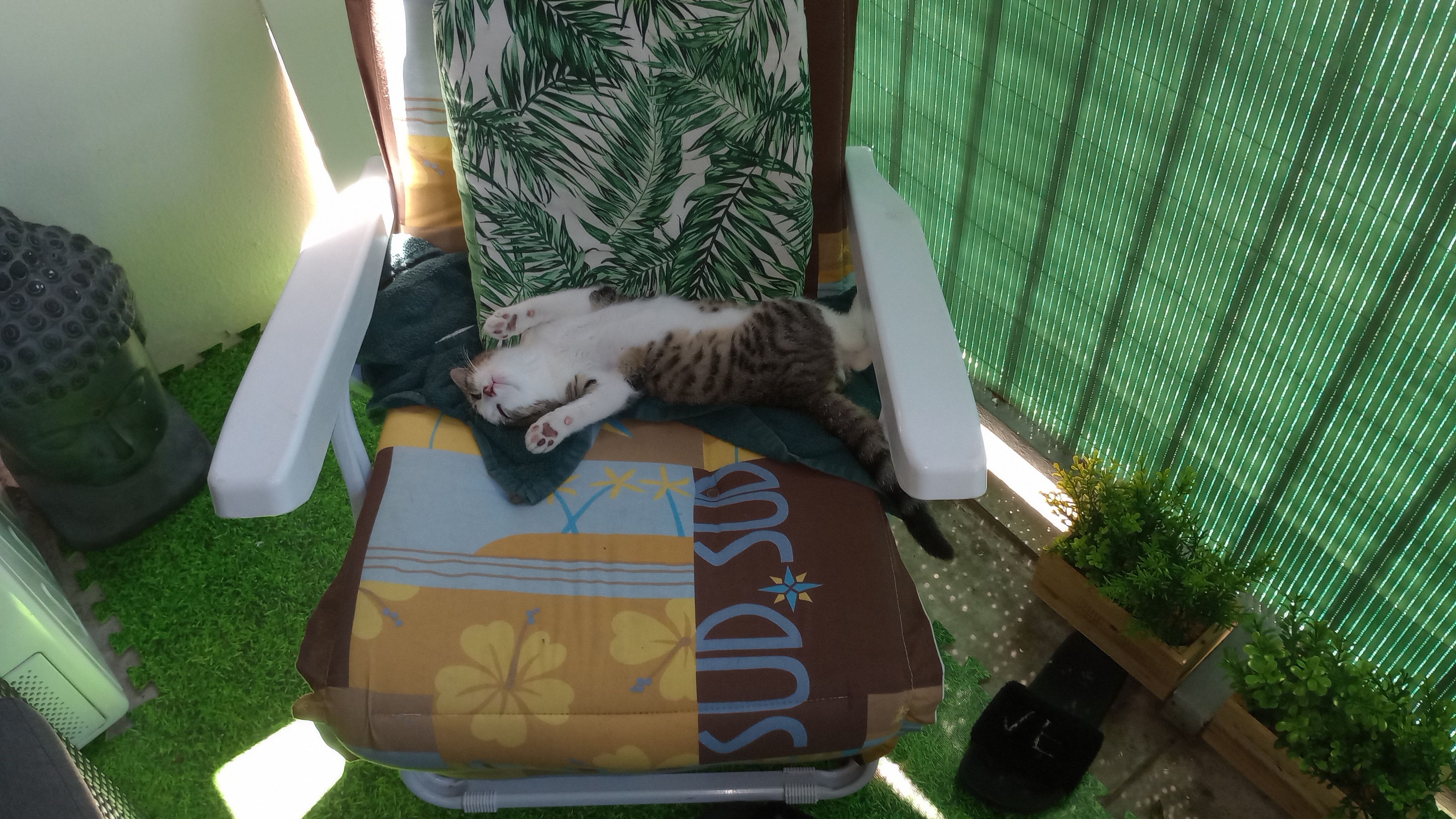 Rocket  - 9 Rue Édouard Herriot, Cluses