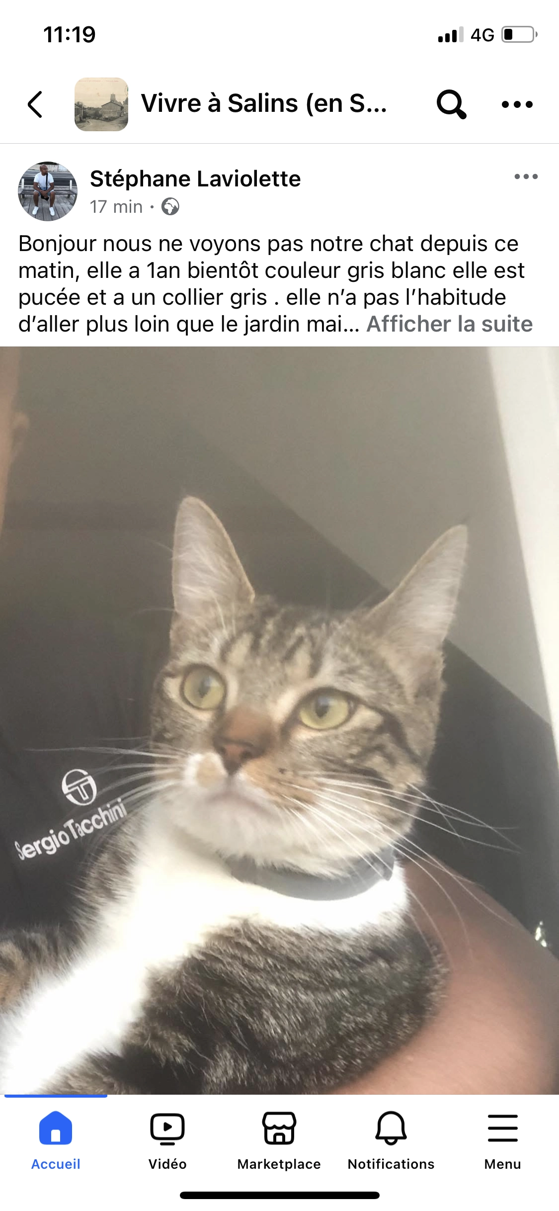 Ninouche  - Rue du Crayon, Salins