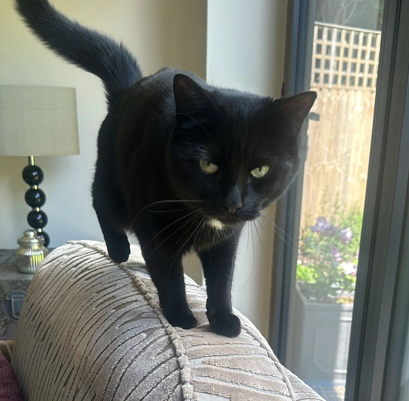 Gertie - SL6 4, Maidenhead