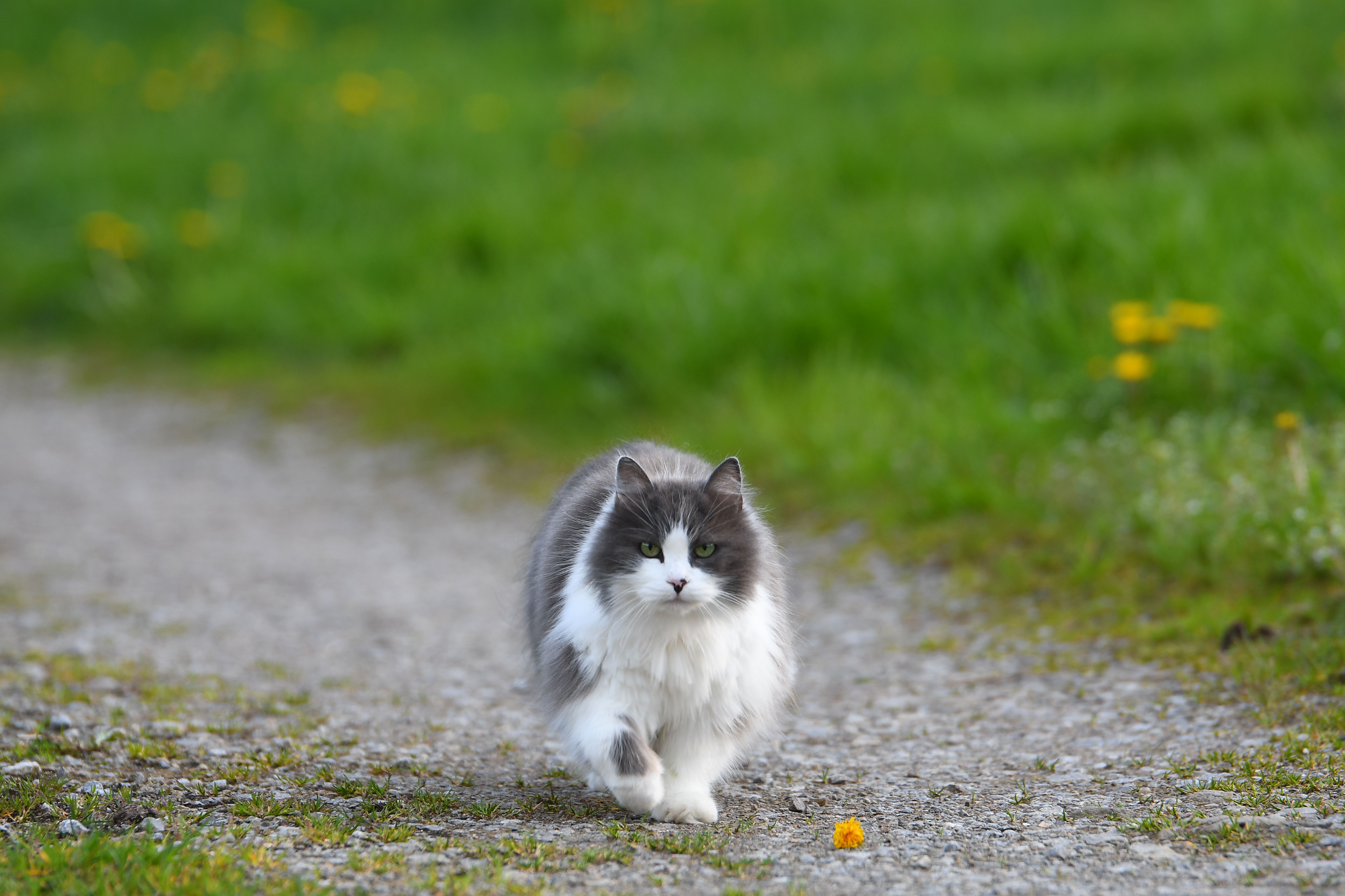 Paula - Waschgasse, Geislingen