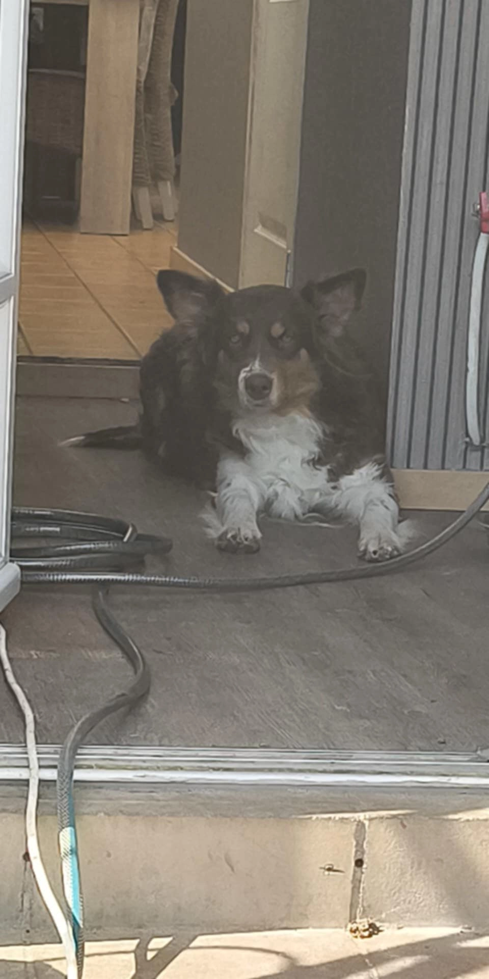 Mila - Chaussée de Lille, Comines