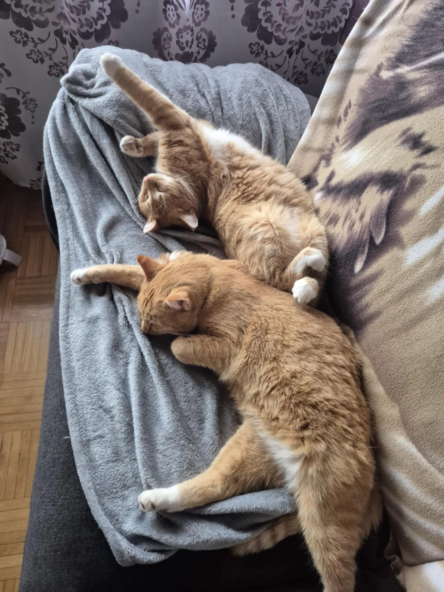 Leo - Puheweg, Coesfeld