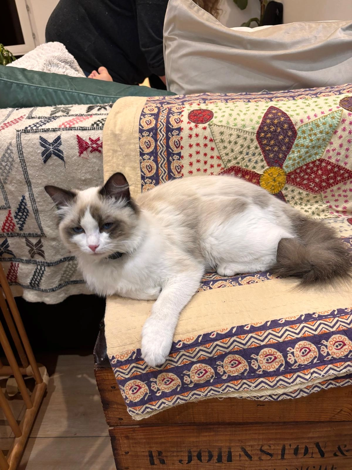 Minou - Impasse Des Noues Crats, Cernay-lès-Reims