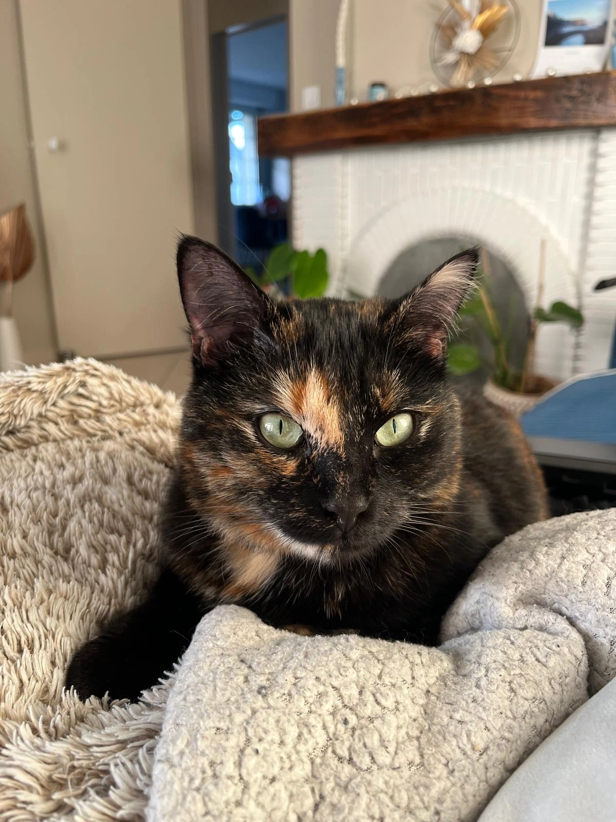 Yuna - Rue De La Palibe, Tarnos