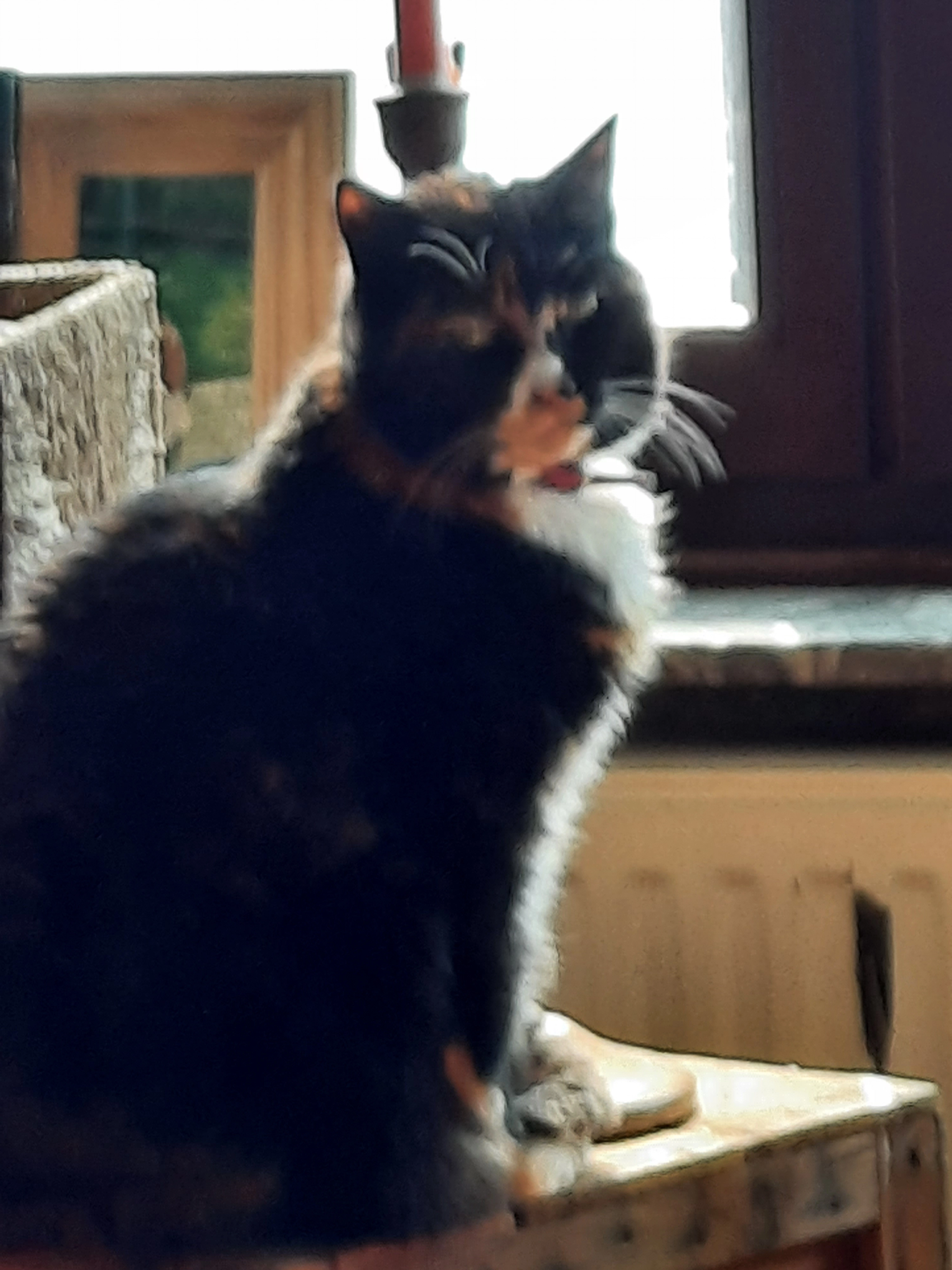 Minnie - Bevel-Dorp 24, Nijlen