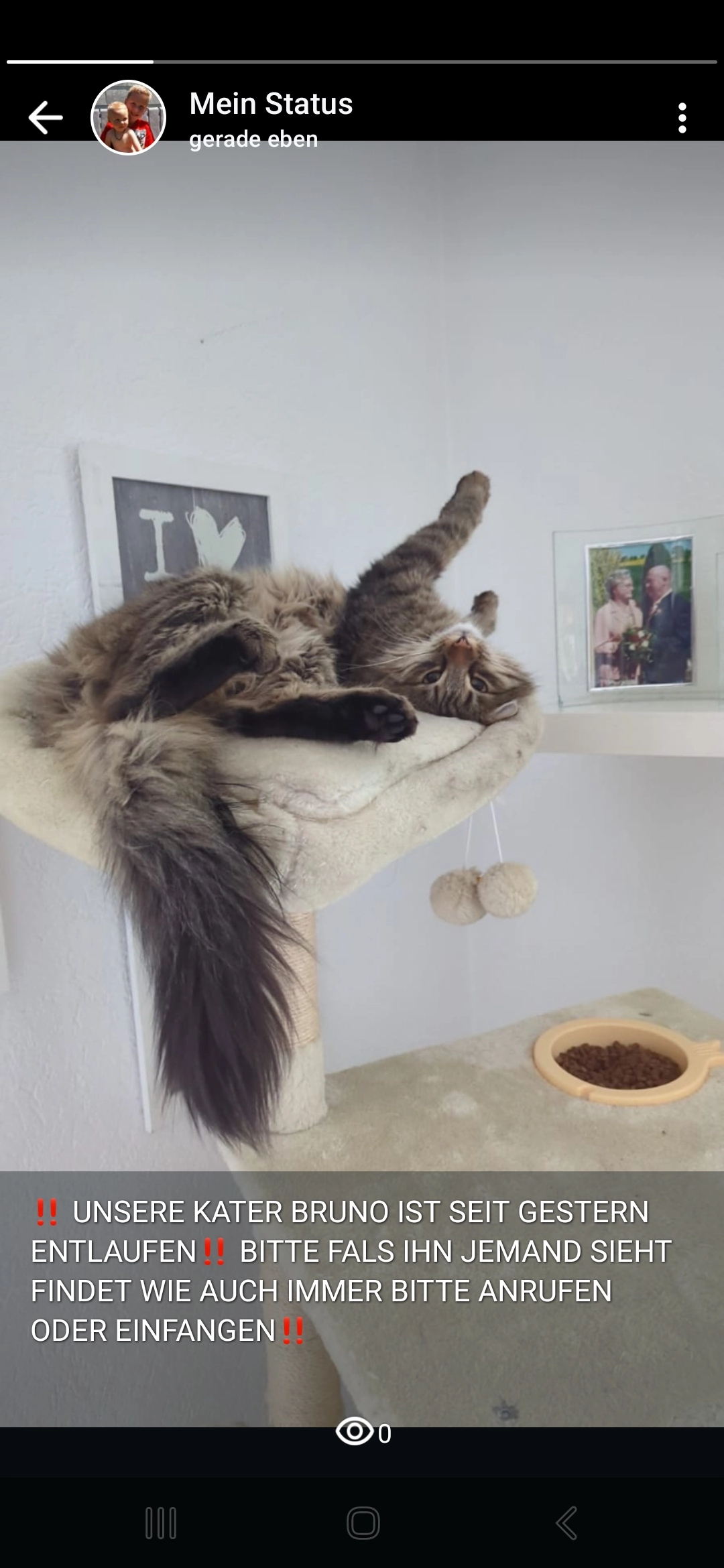 Bruno - Adolf-Kolping-Straße, Kirchseeon