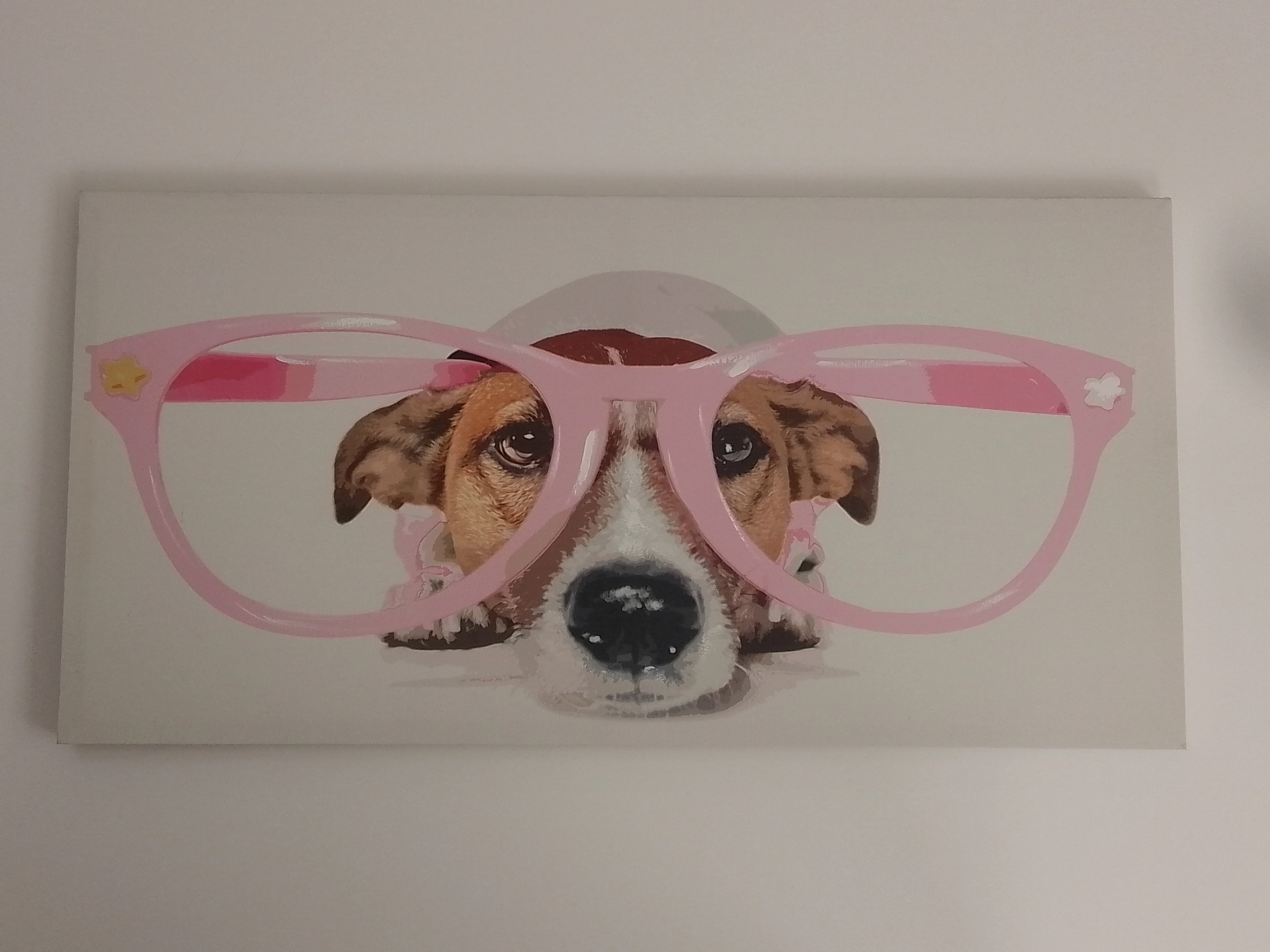 Fifi - Avenue de Rochefort, Saint-Jean-d'Angély