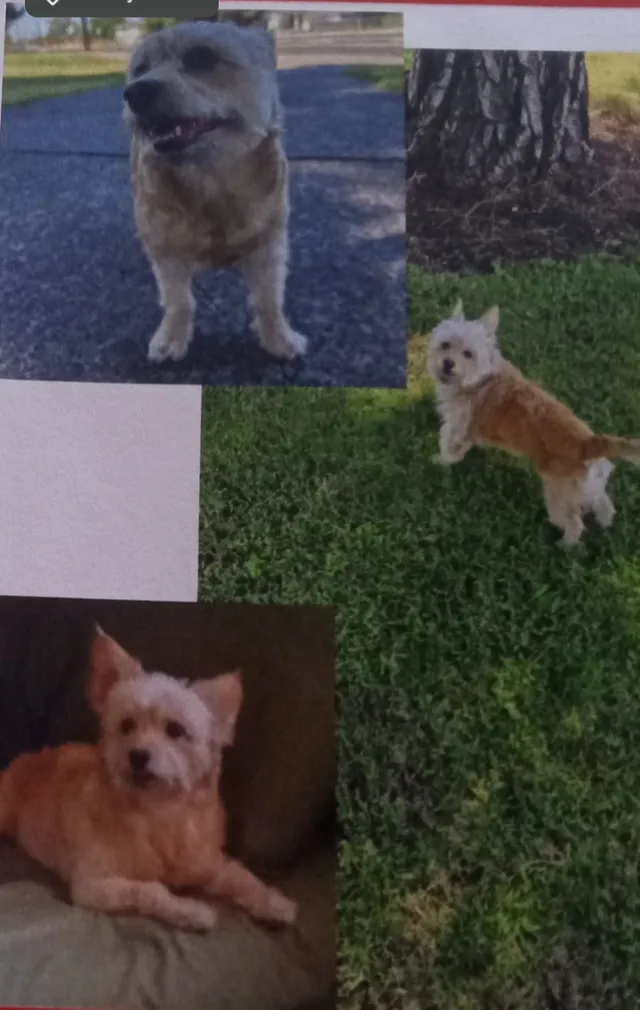 Cleo - South Grant Street, Stockton