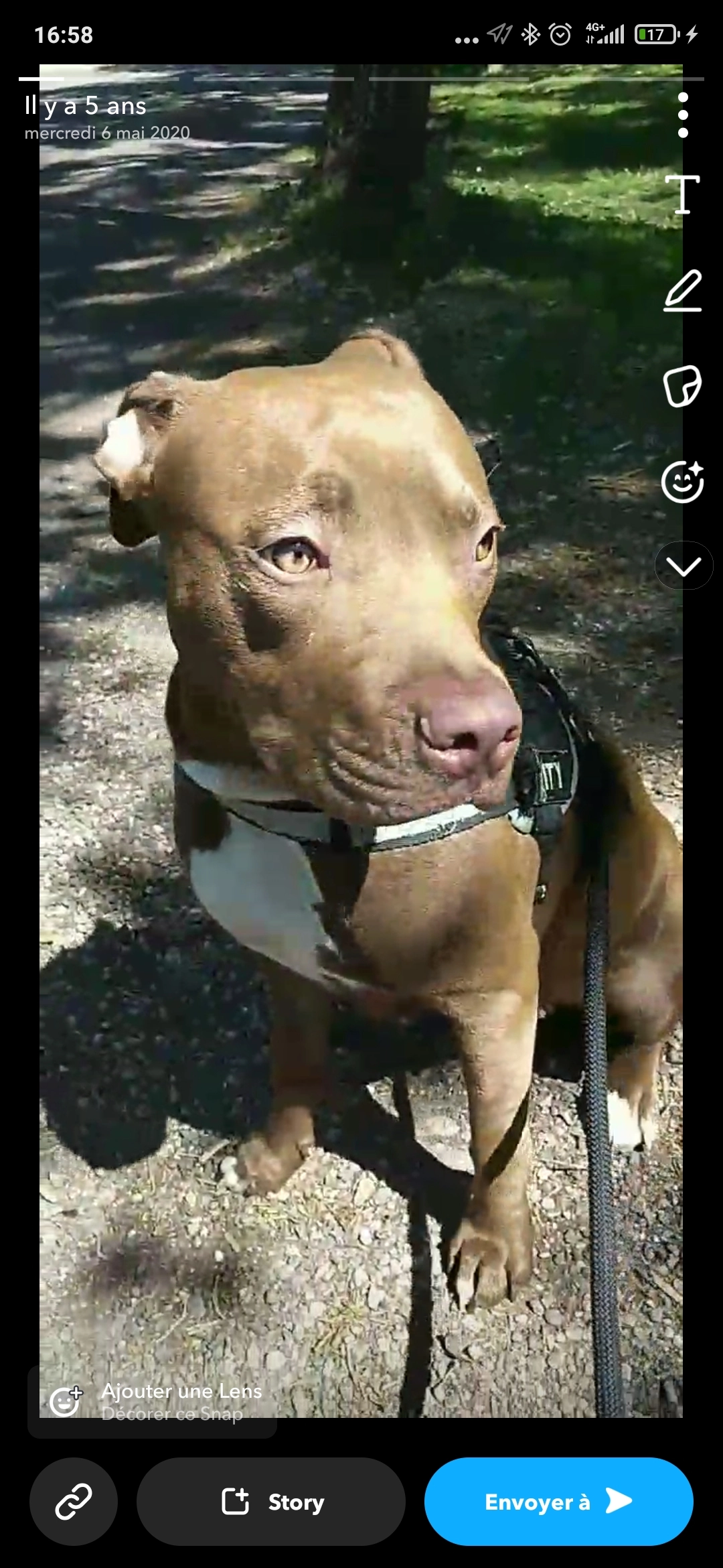 Poukie - 16 Rue du Rabodeau, Maxéville