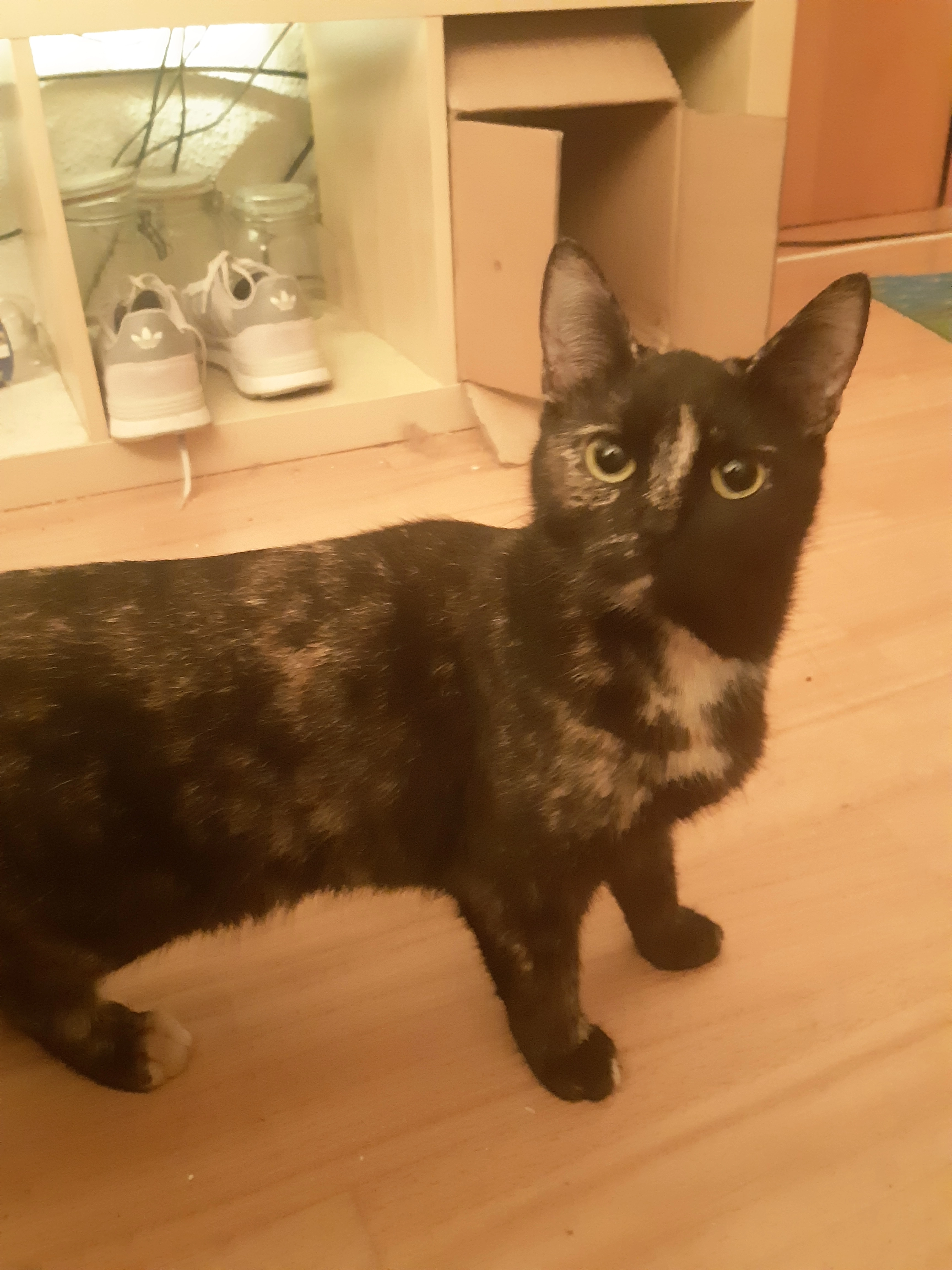 Aya - Lagerlöfstraße, Rostock