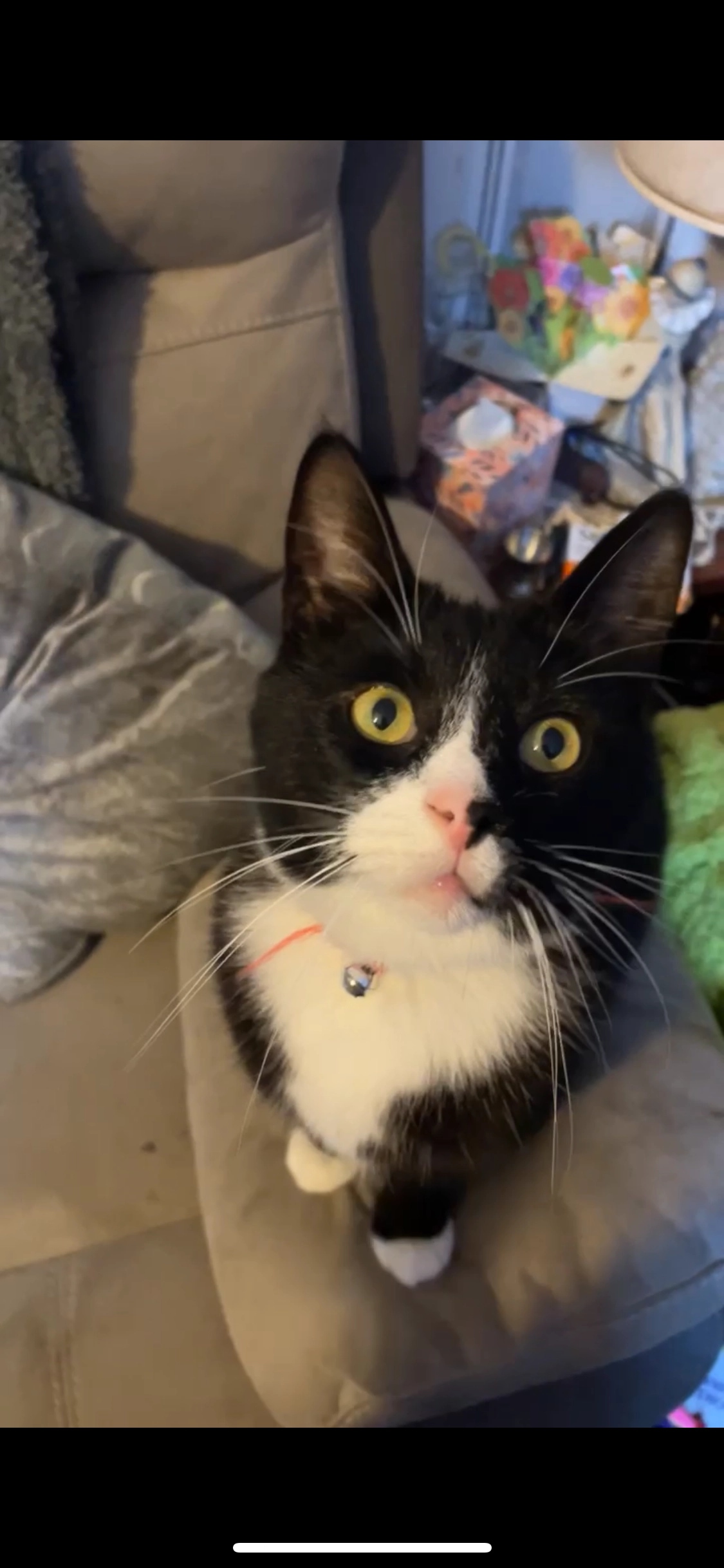 Flash  - Hartfield Walk, Bolton