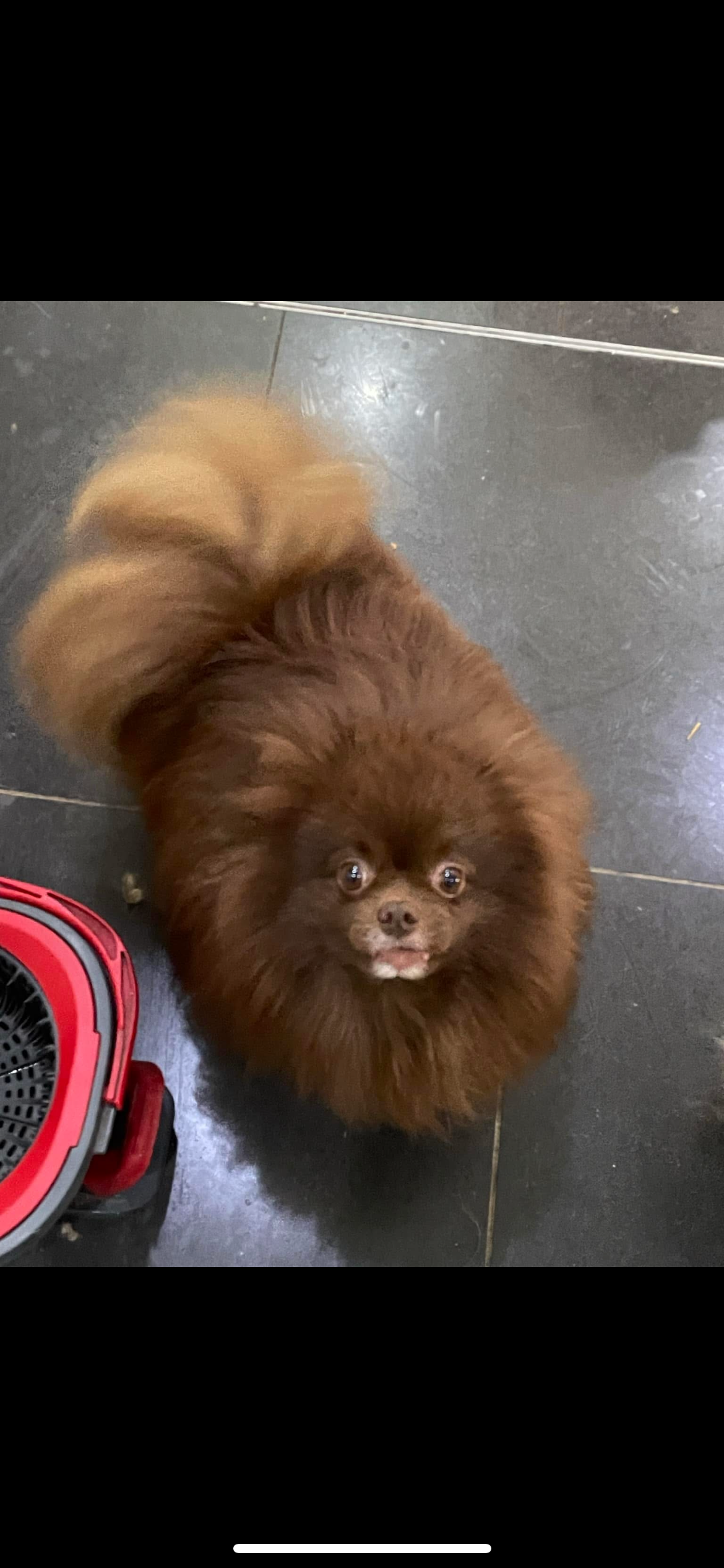 Cadbury - Thatto Heath Road, Saint Helens