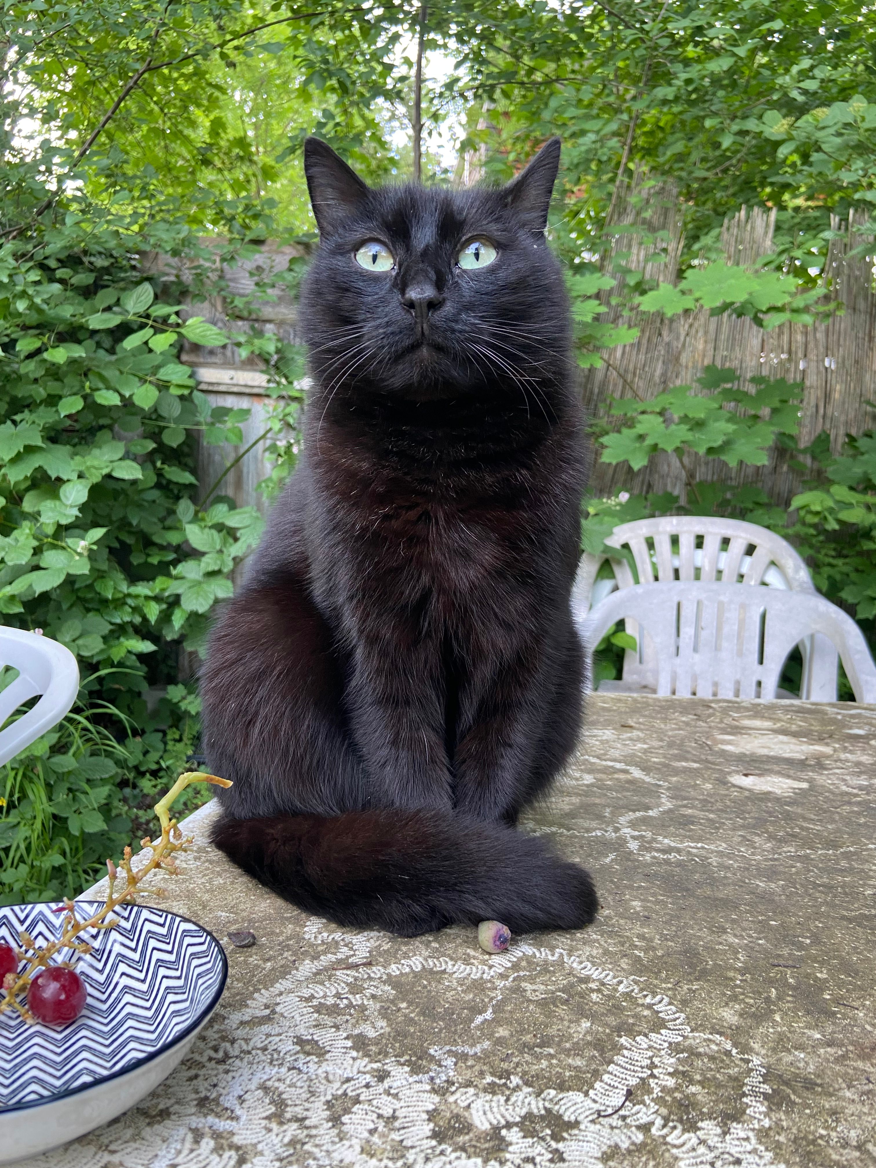 Puma - Oberreit, Moosburg an der Isar