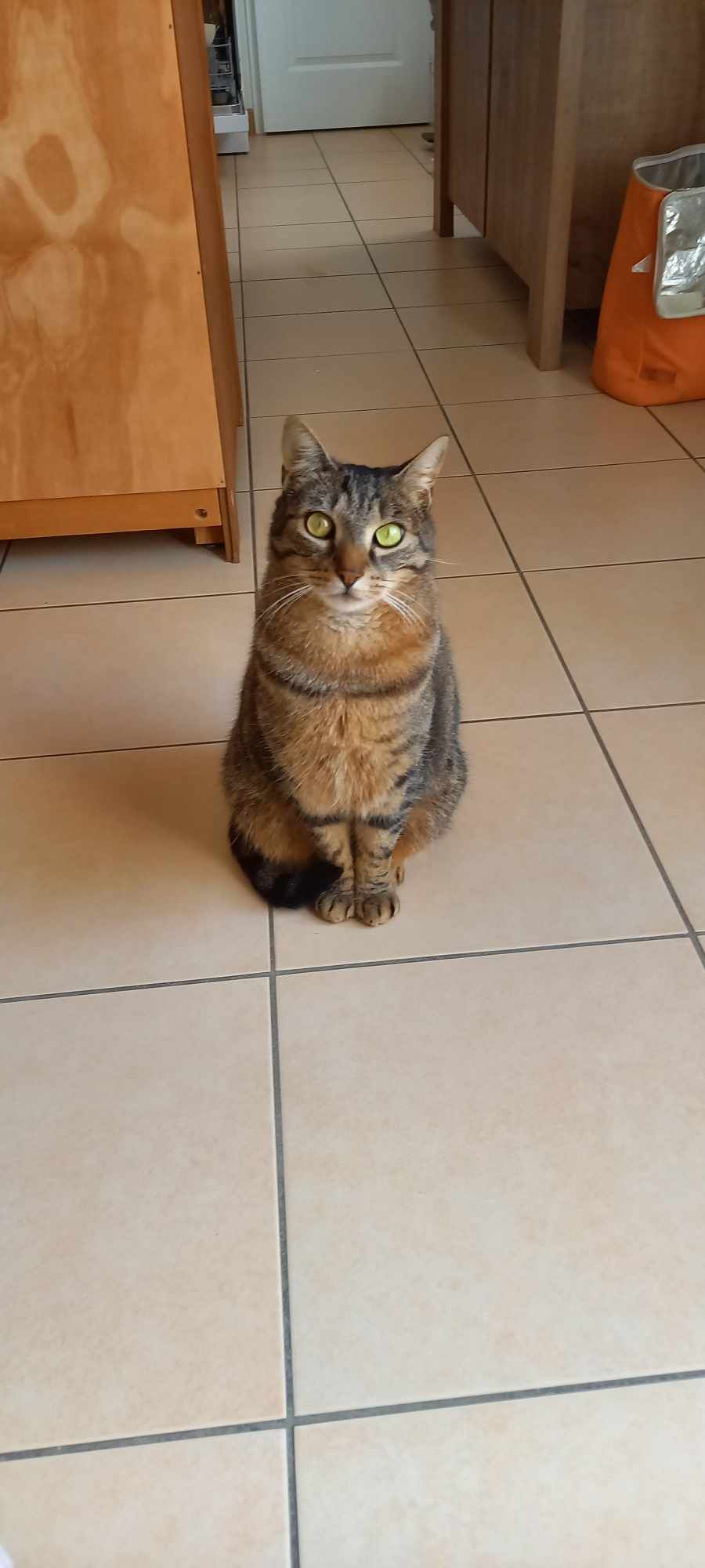 Chester - Rue François Vidocq, Rosières-en-Santerre