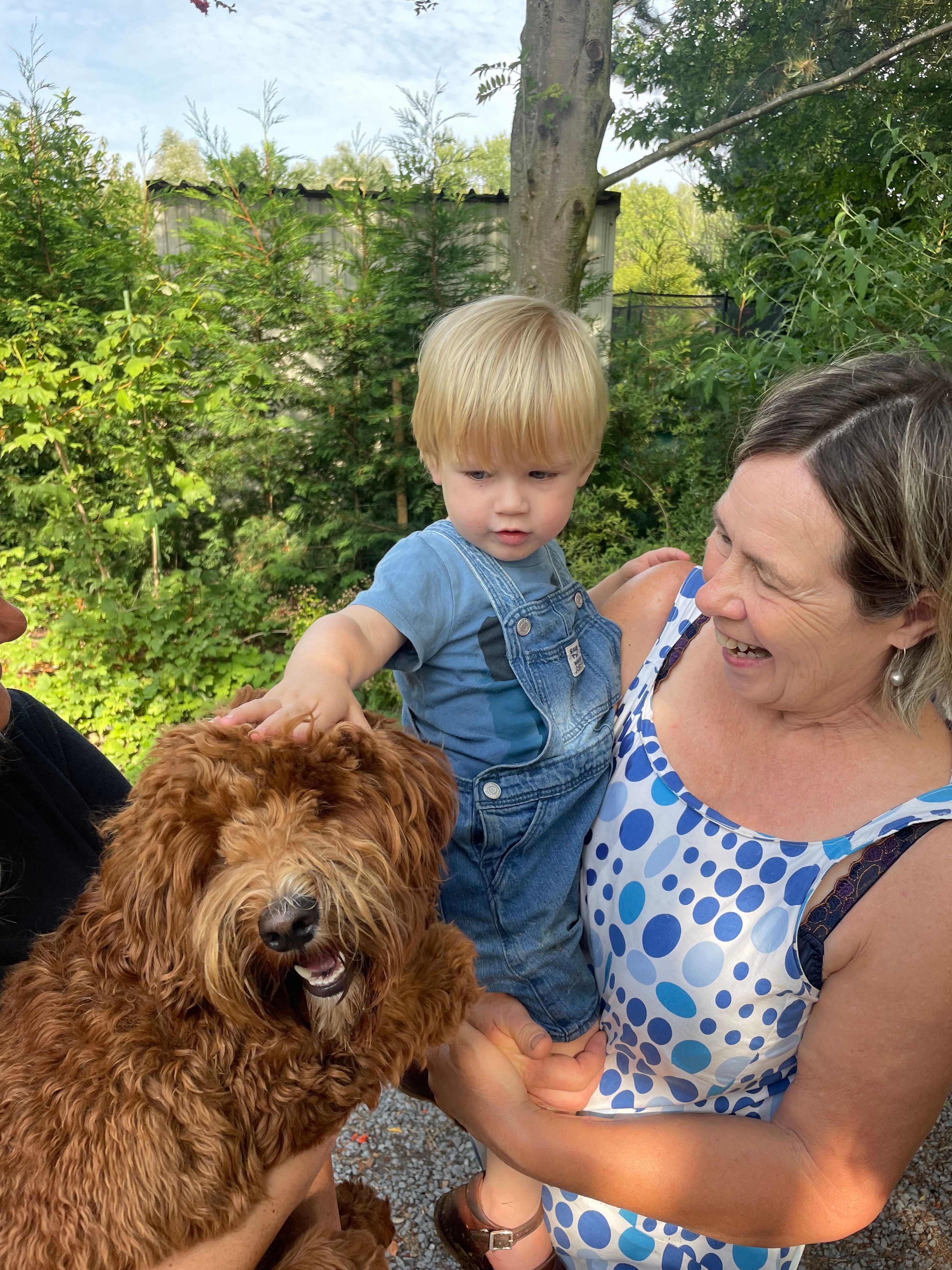 Jackie - Spartacusstraat, Kortrijk