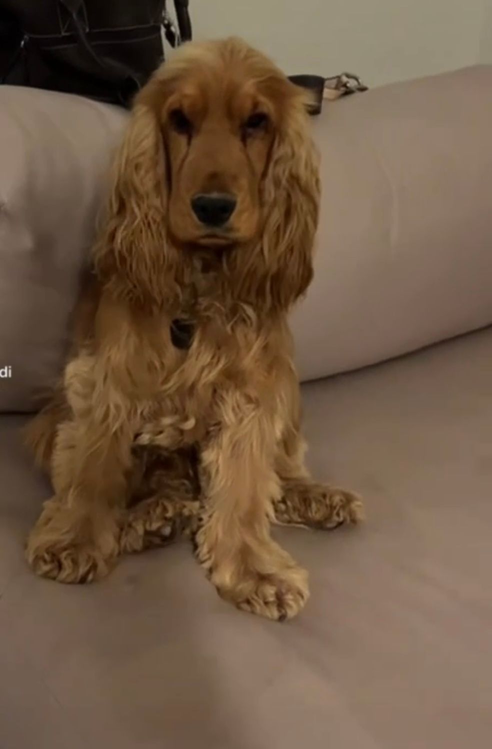 Sultan - 40, Marrakech