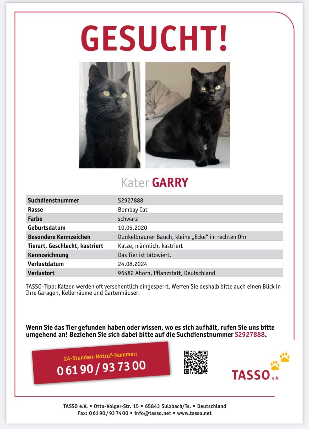 Garry - Pflanzstatt, Ahorn