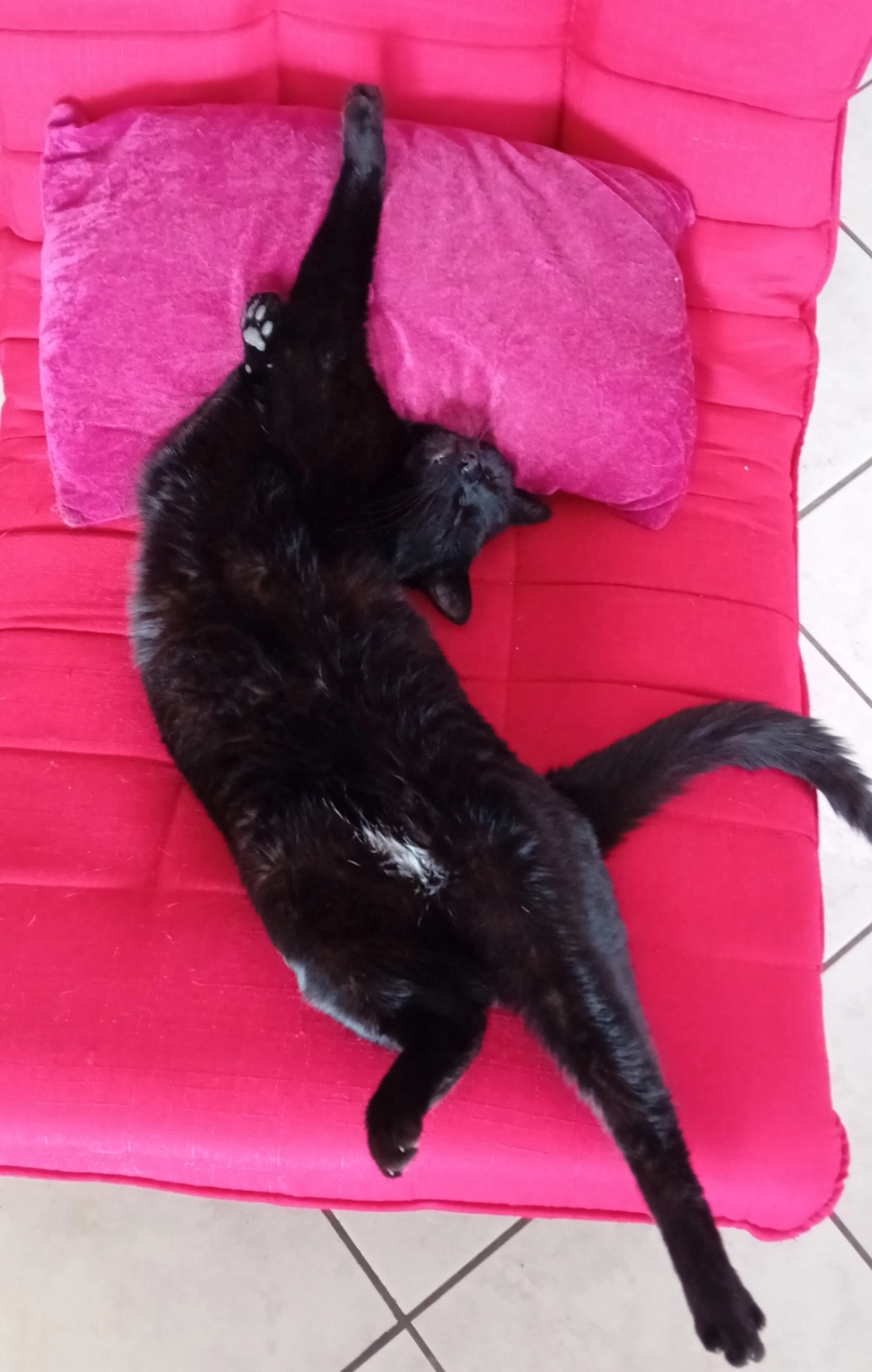 Blackou - Impasse du Coteau, Aiguilhe