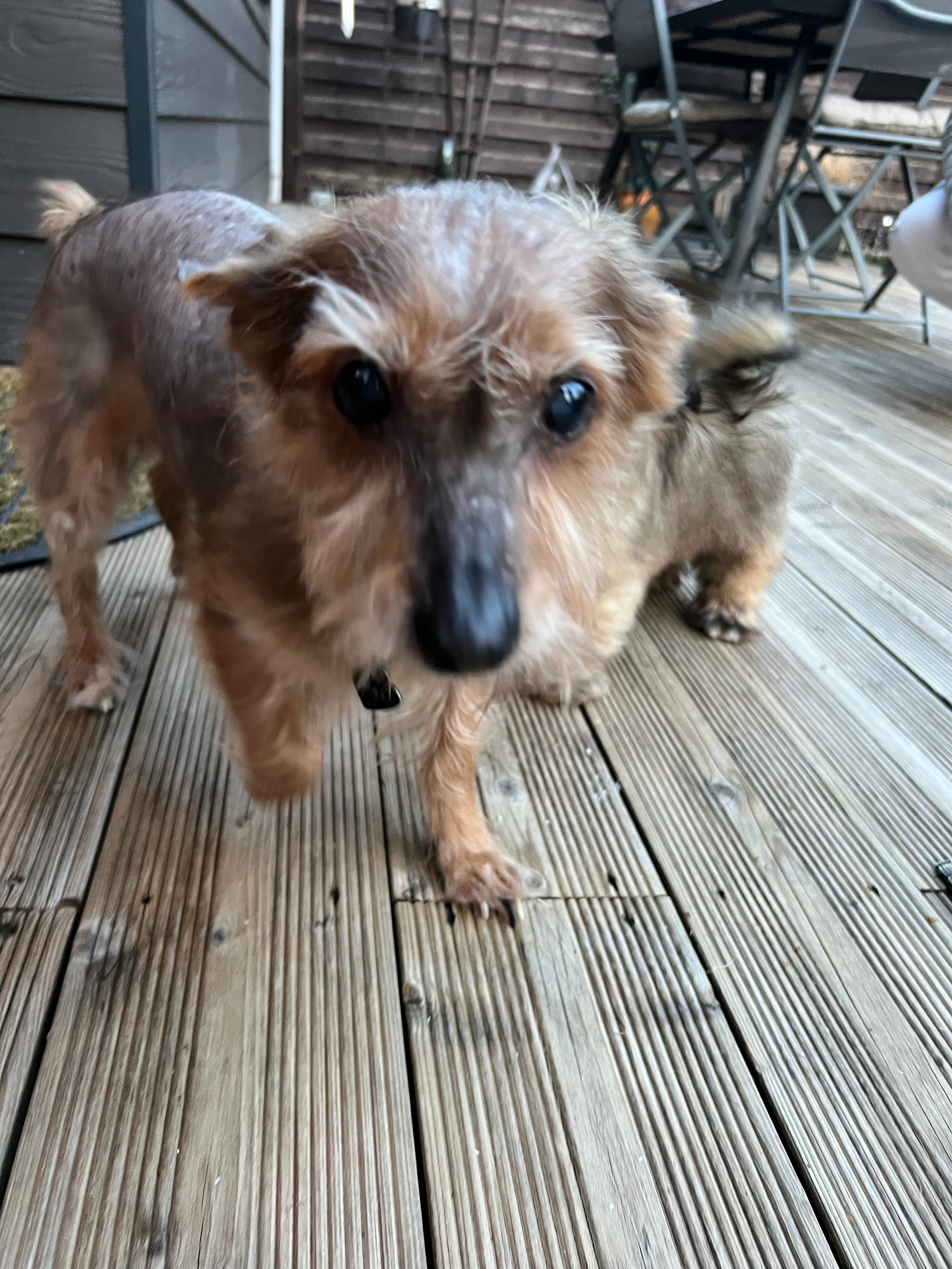 Max - 38 Rue de Faumont, Douai