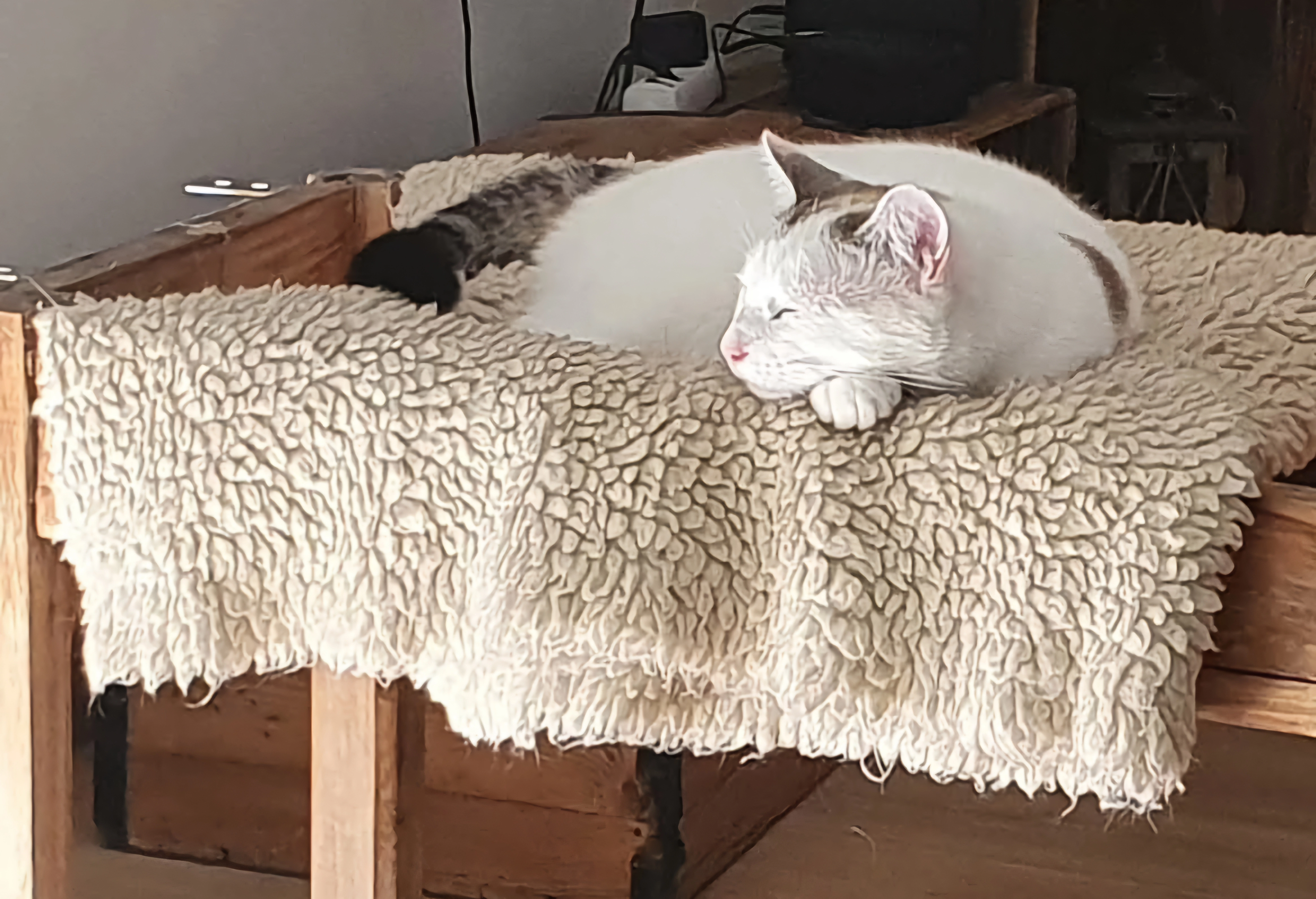 Neya - Rue Mirabeau, Pontarlier