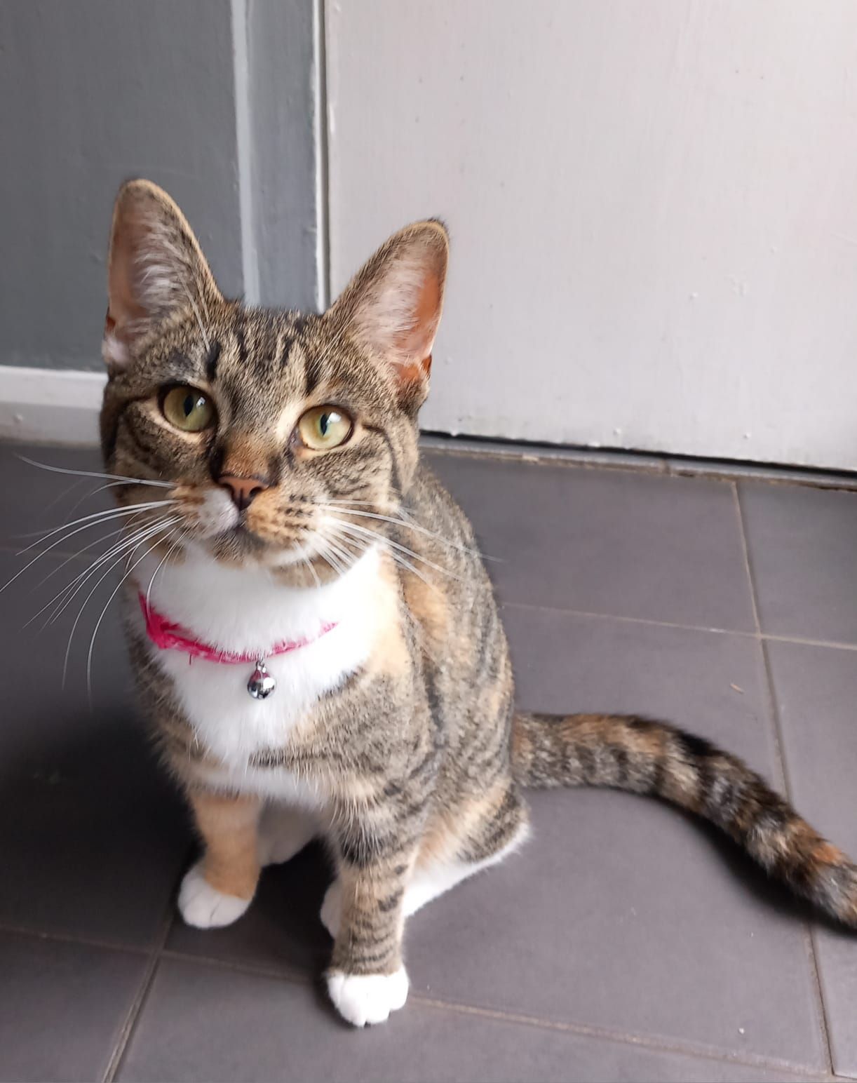 Tabitha  - Linden Grove, Middlesbrough