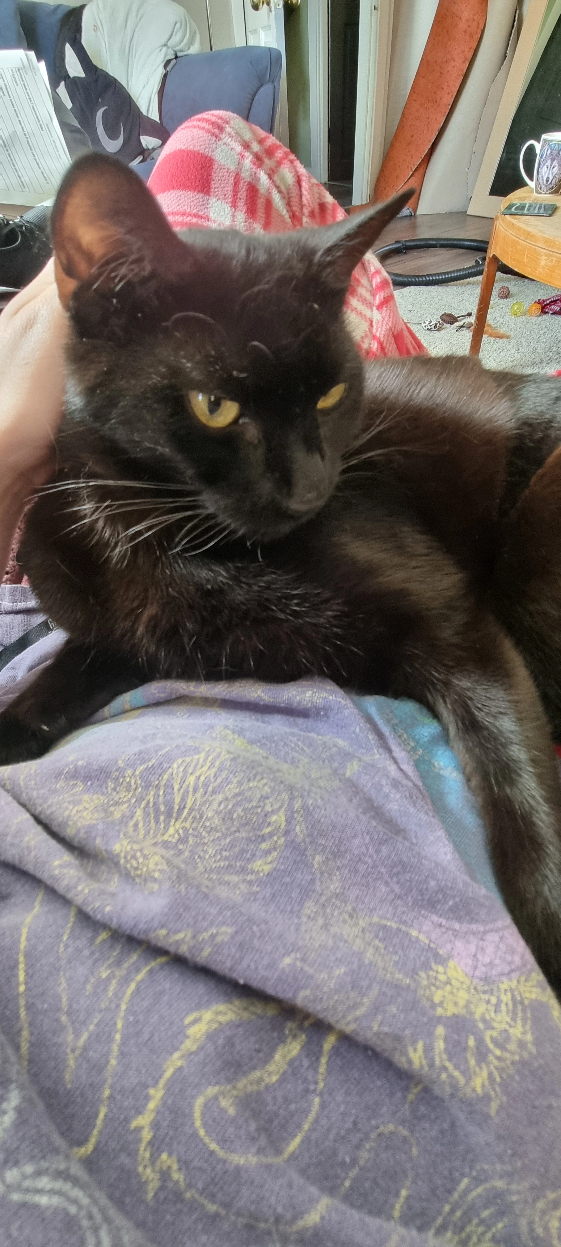 Nyx - Dunham Road, Liverpool