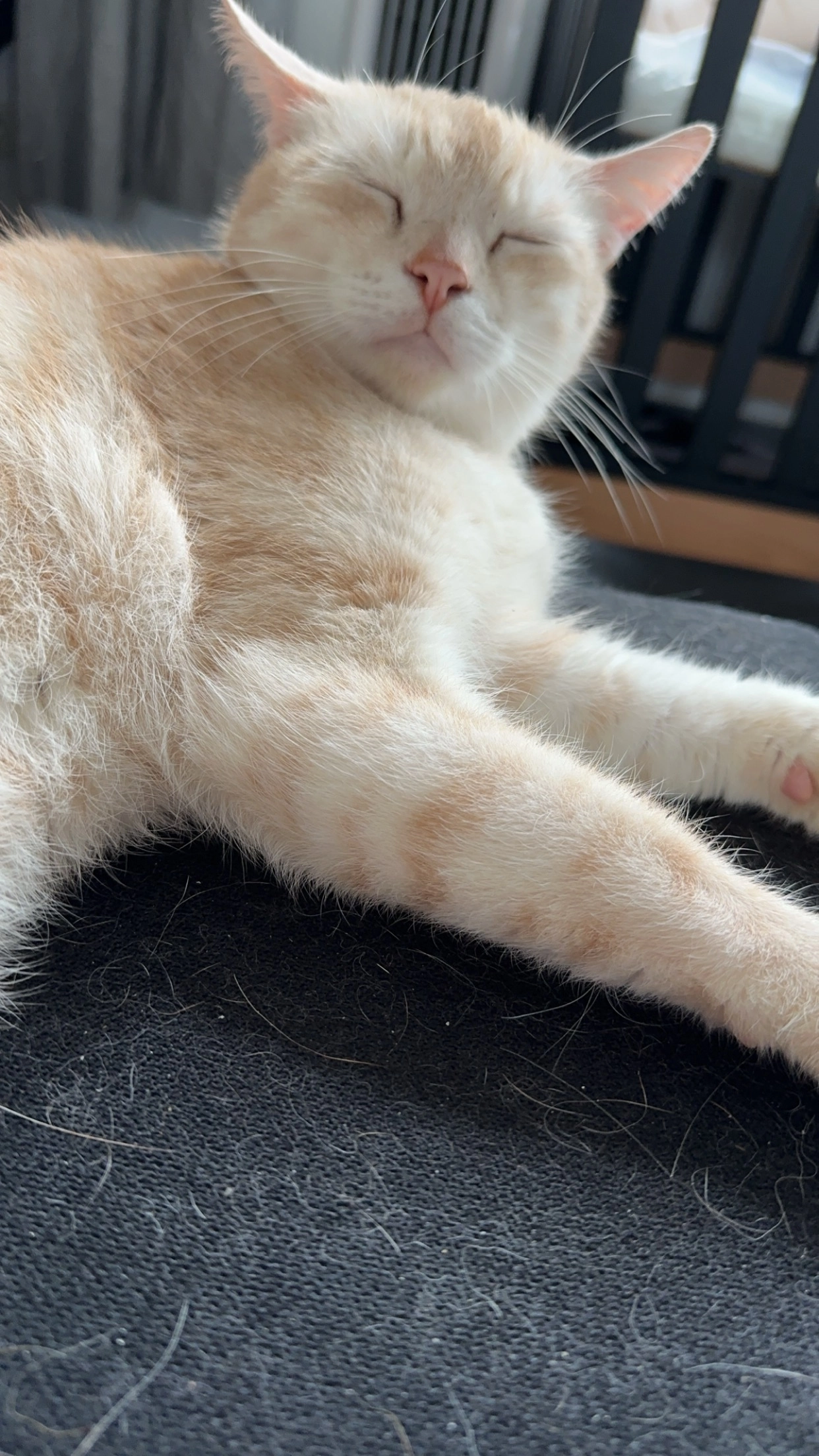 Stiquemou - Rue Basse, Orp-Jauche