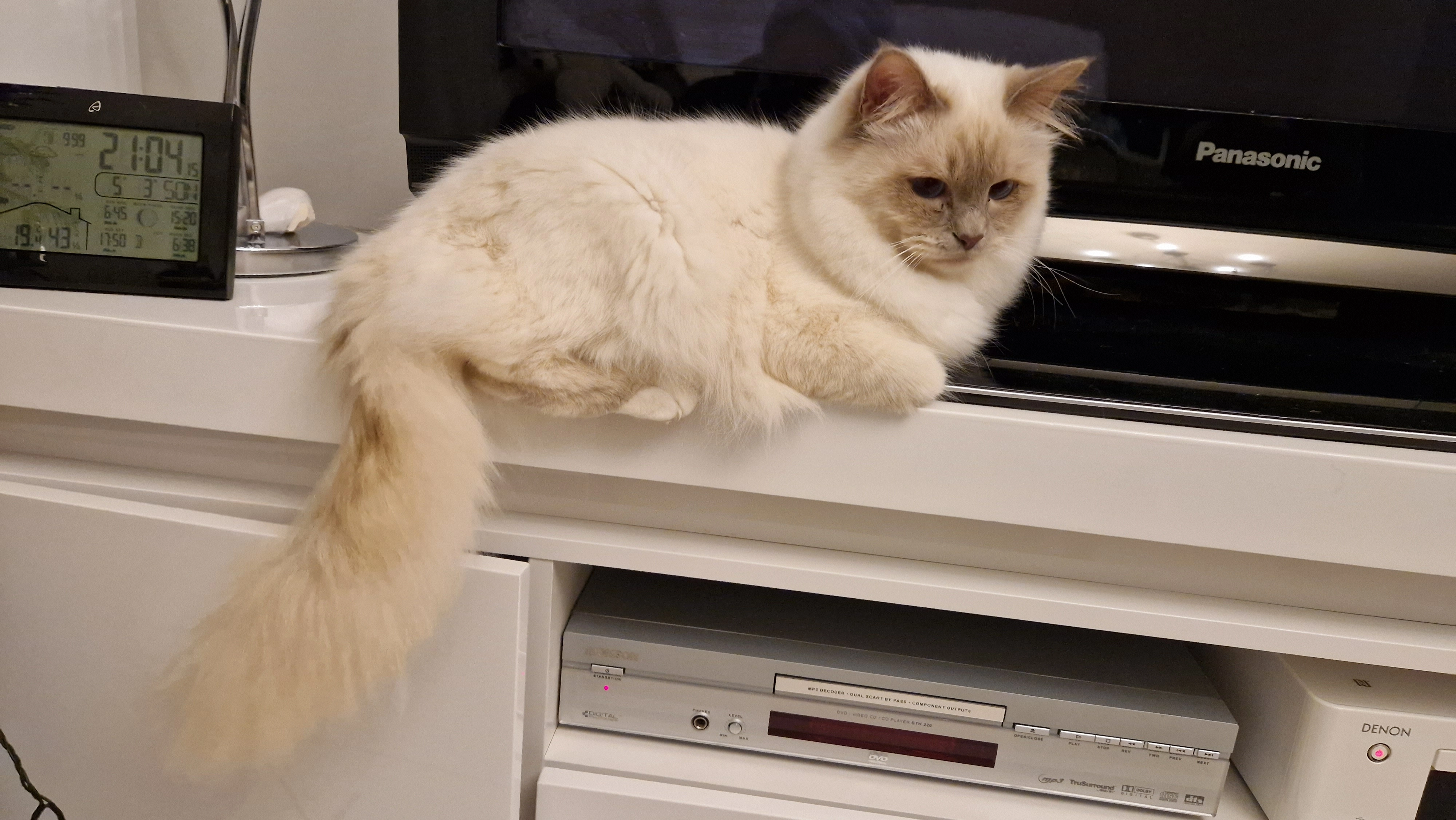 Twist - 9 Rue Pierre Mendès France, Villenoy