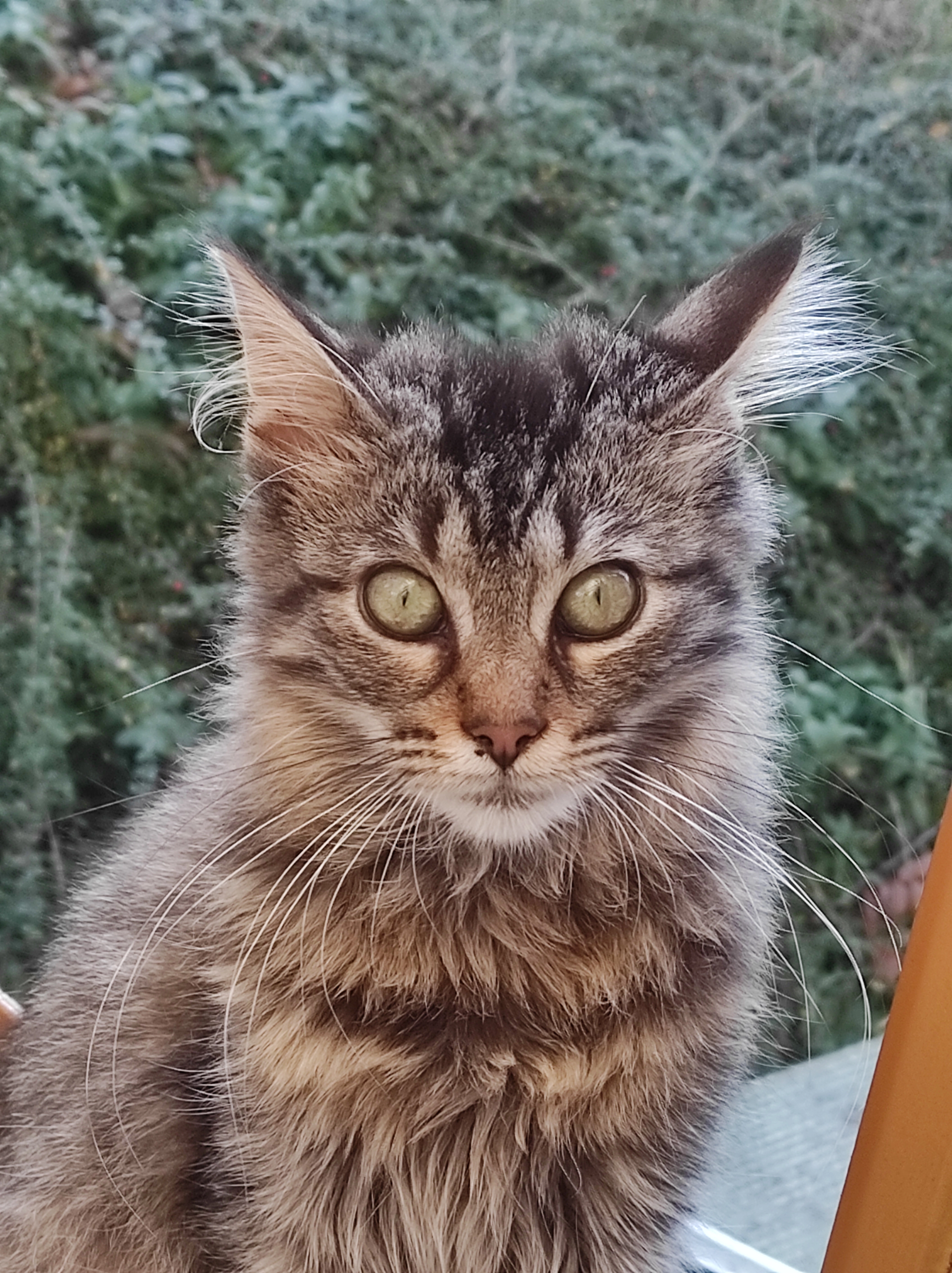 Moustache - Rue des Pillots, Vierzon