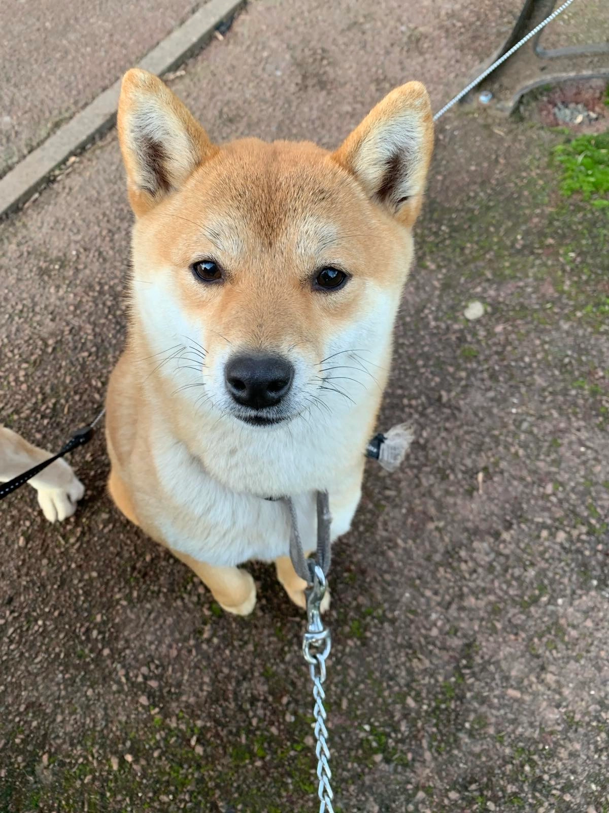 Vera - 27 Rue du Progrès, Aulnay-sous-Bois