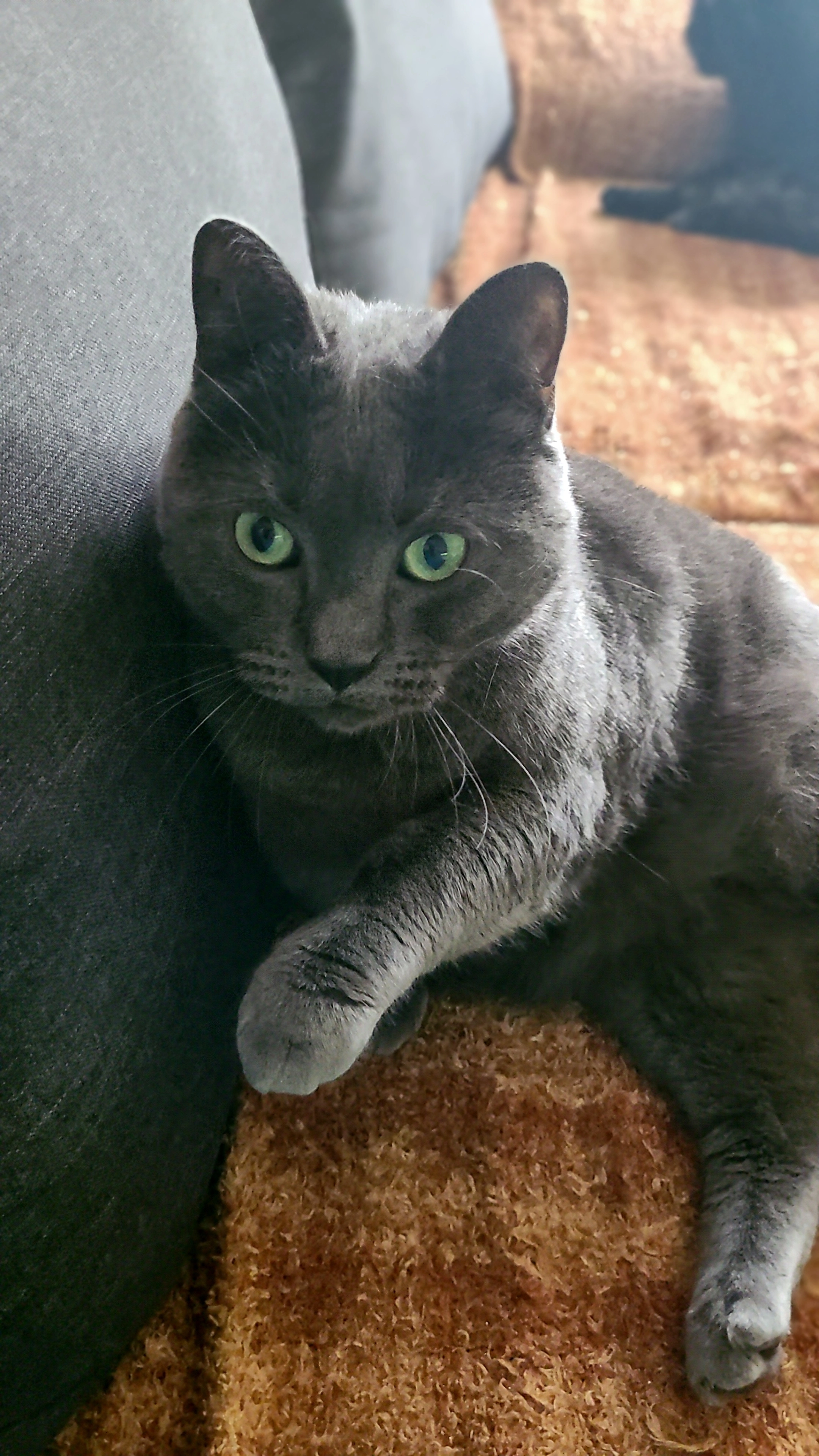 Blue - Lessingstraße, Kamp-Lintfort