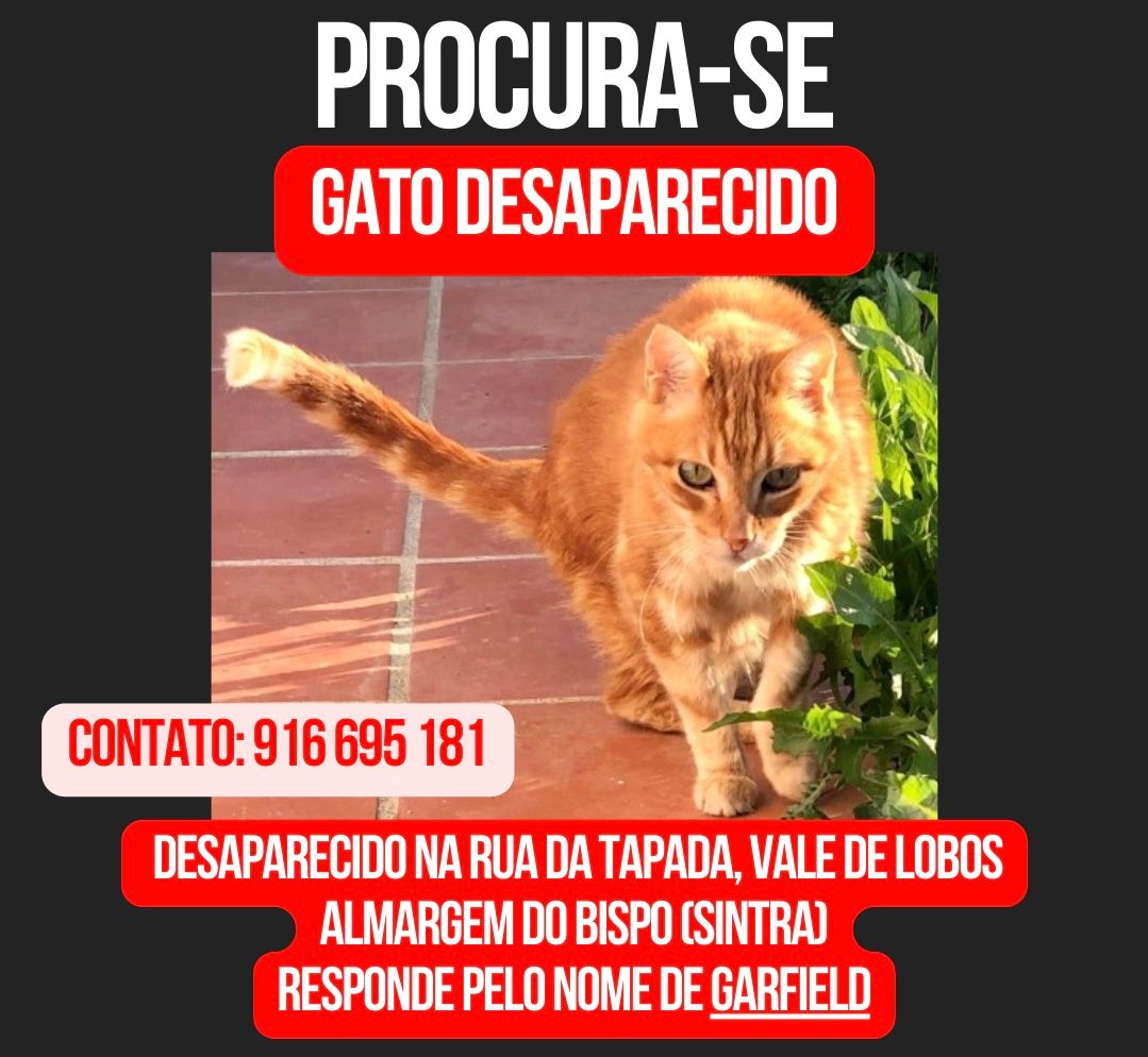 Garfield - Rua Da Tapada, Almargem do Bispo