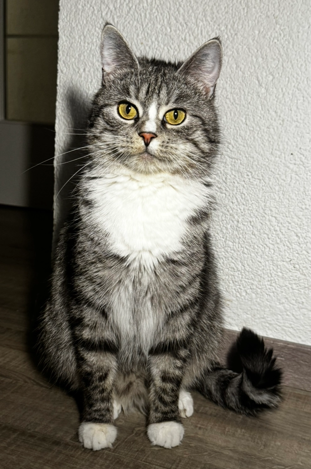 Charlie - Doktor-Hans-Raß-Straße, Freihung