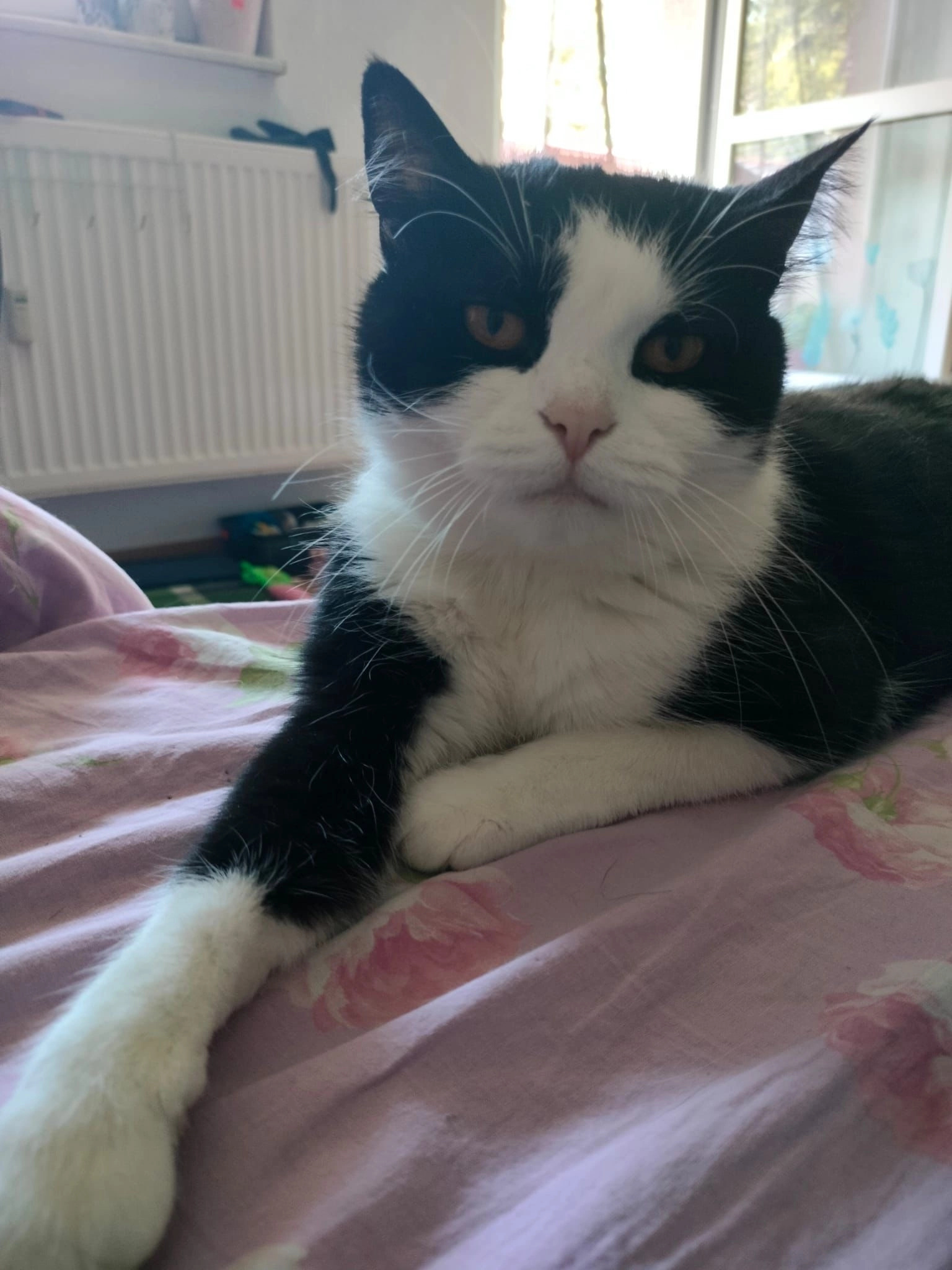 Luna  - Wilhelm-Külz-Straße 11, Kamenz